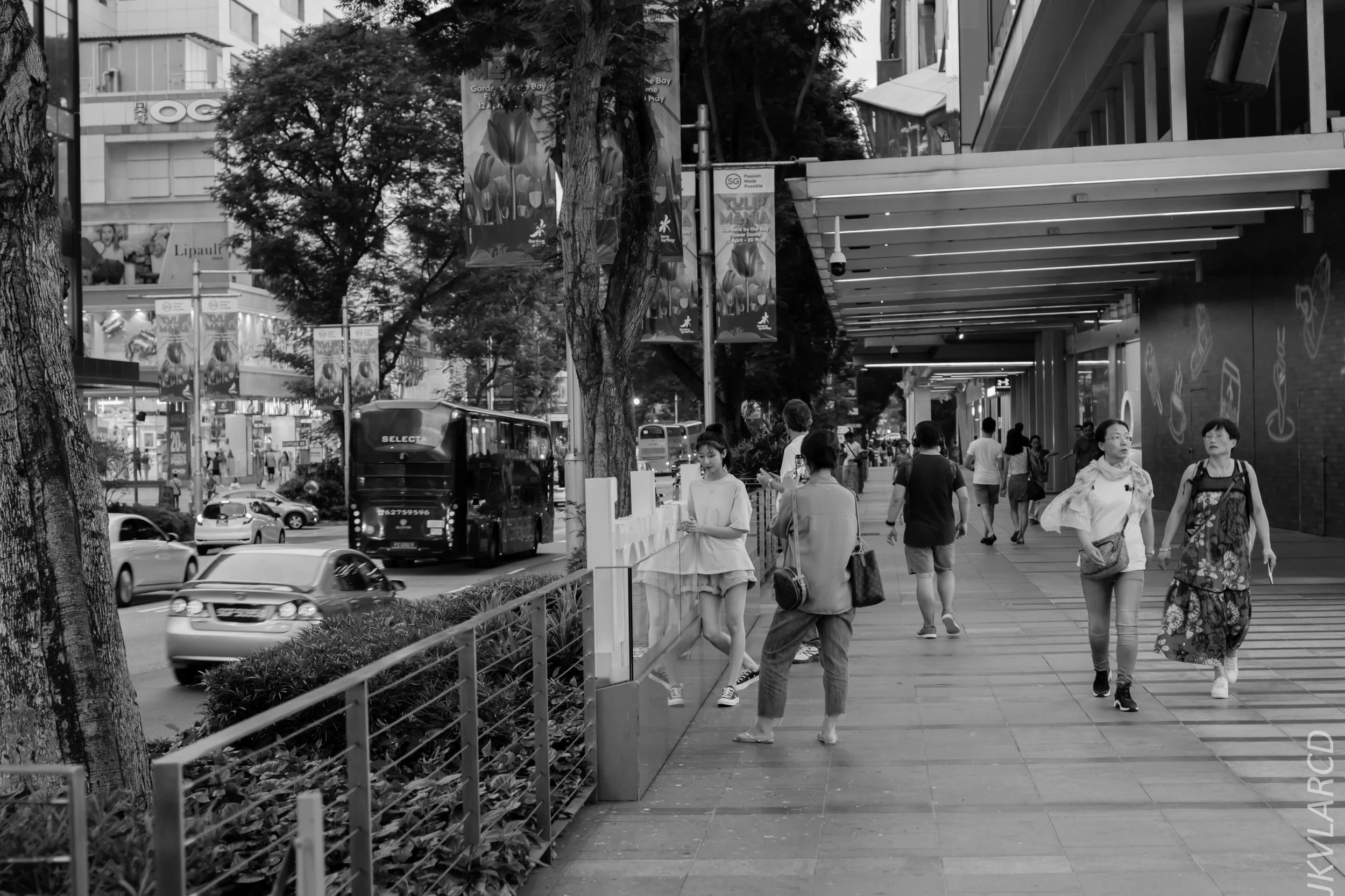 EOS 7D Mark II_2019_05_01_4227.jpg