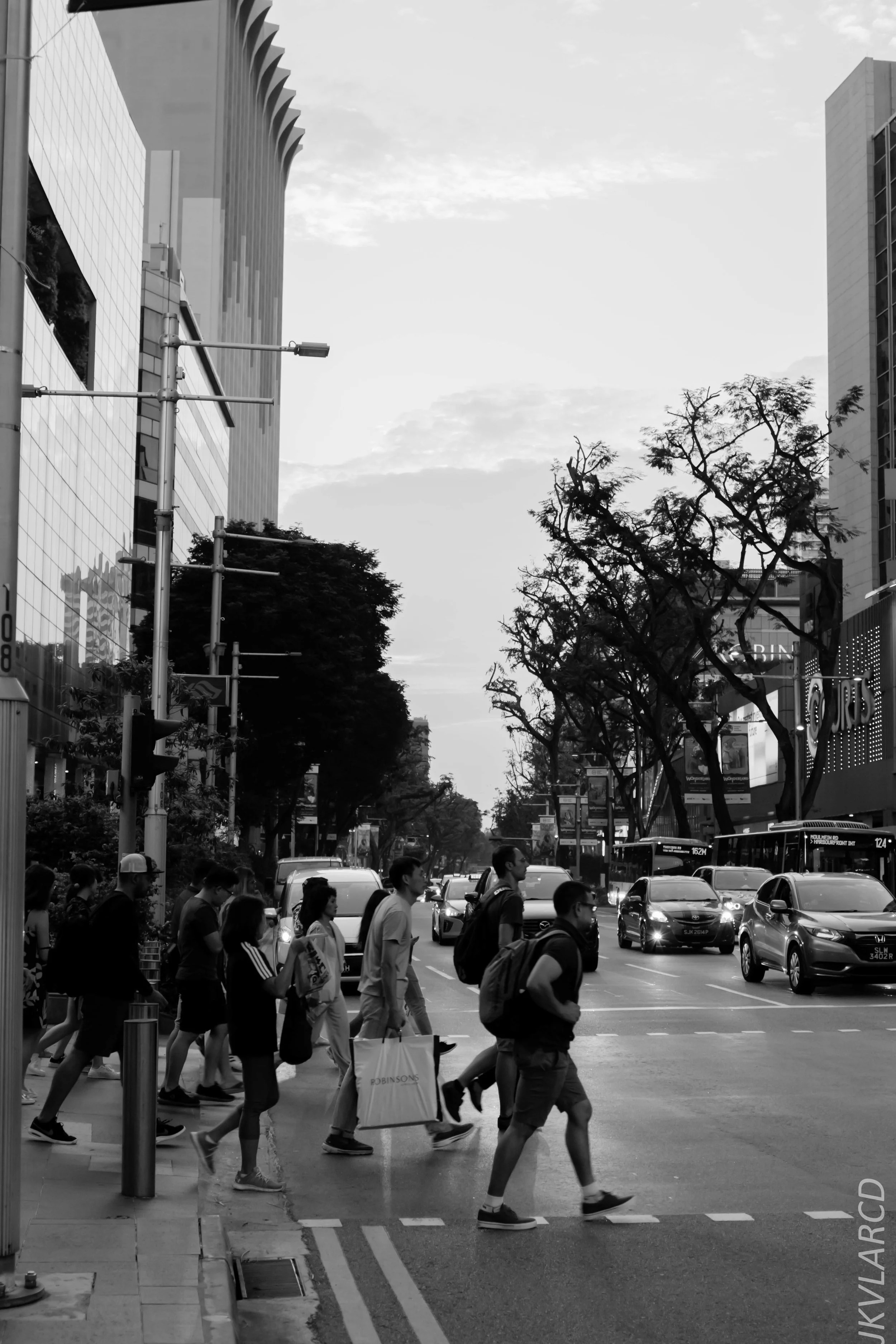 EOS 7D Mark II_2019_05_01_4234.jpg