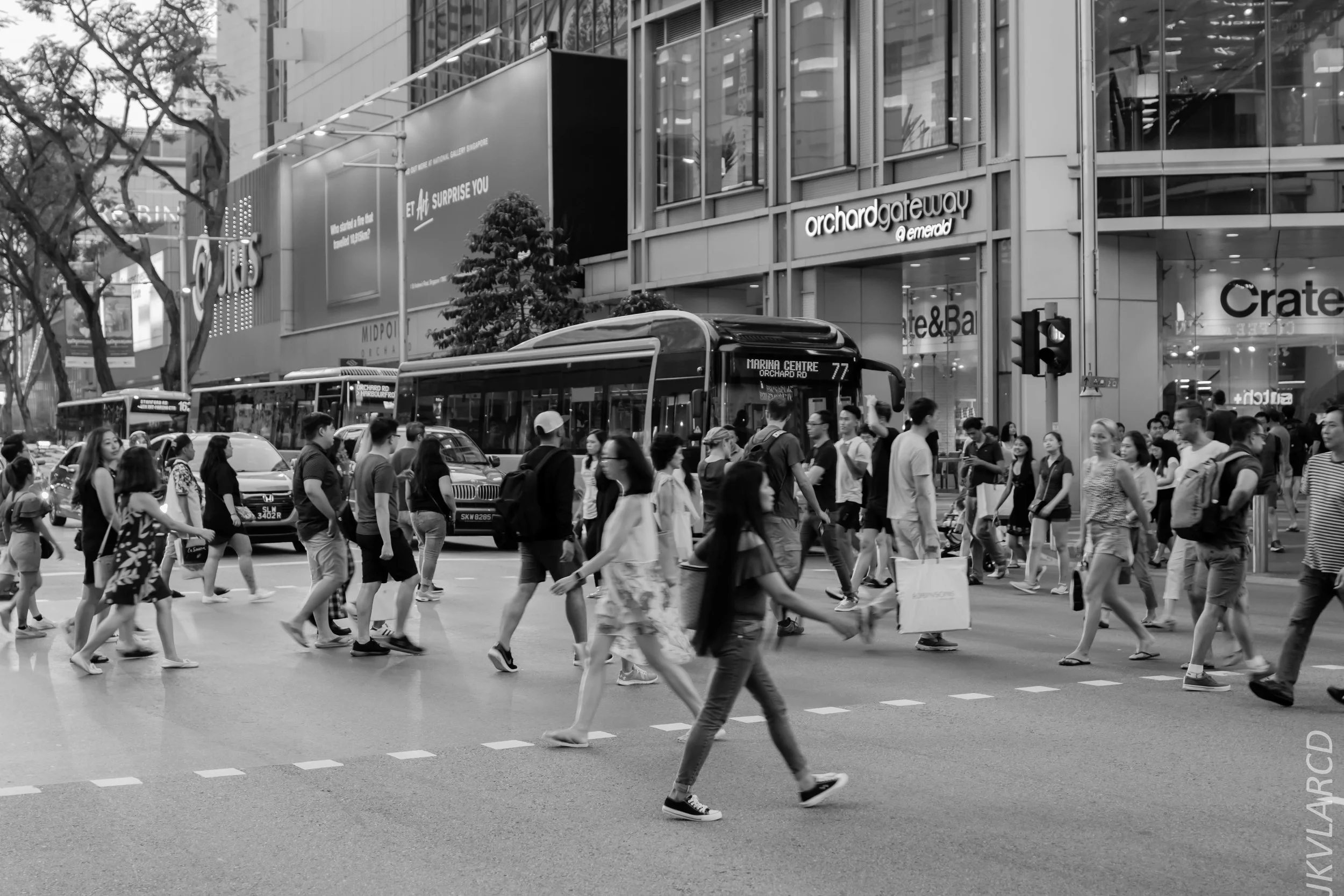 EOS 7D Mark II_2019_05_01_4235.jpg