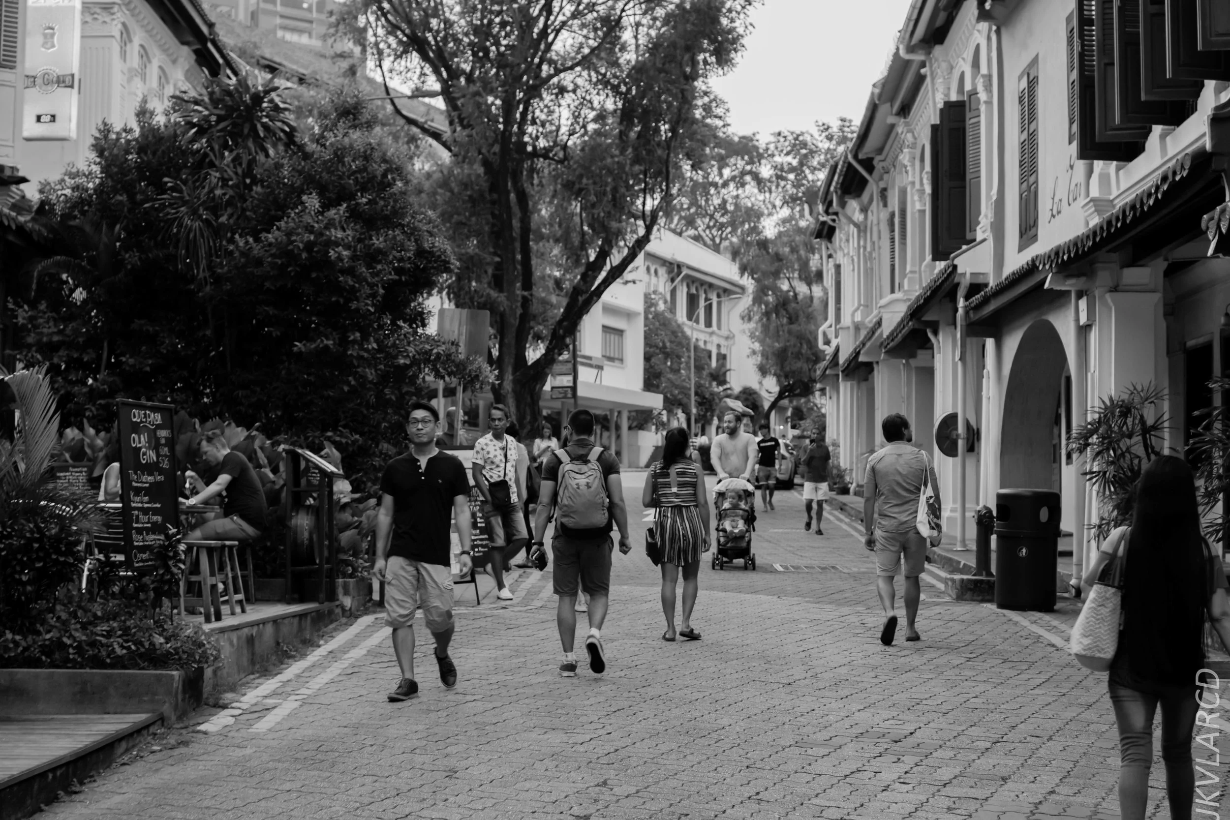 EOS 7D Mark II_2019_05_01_4238.jpg