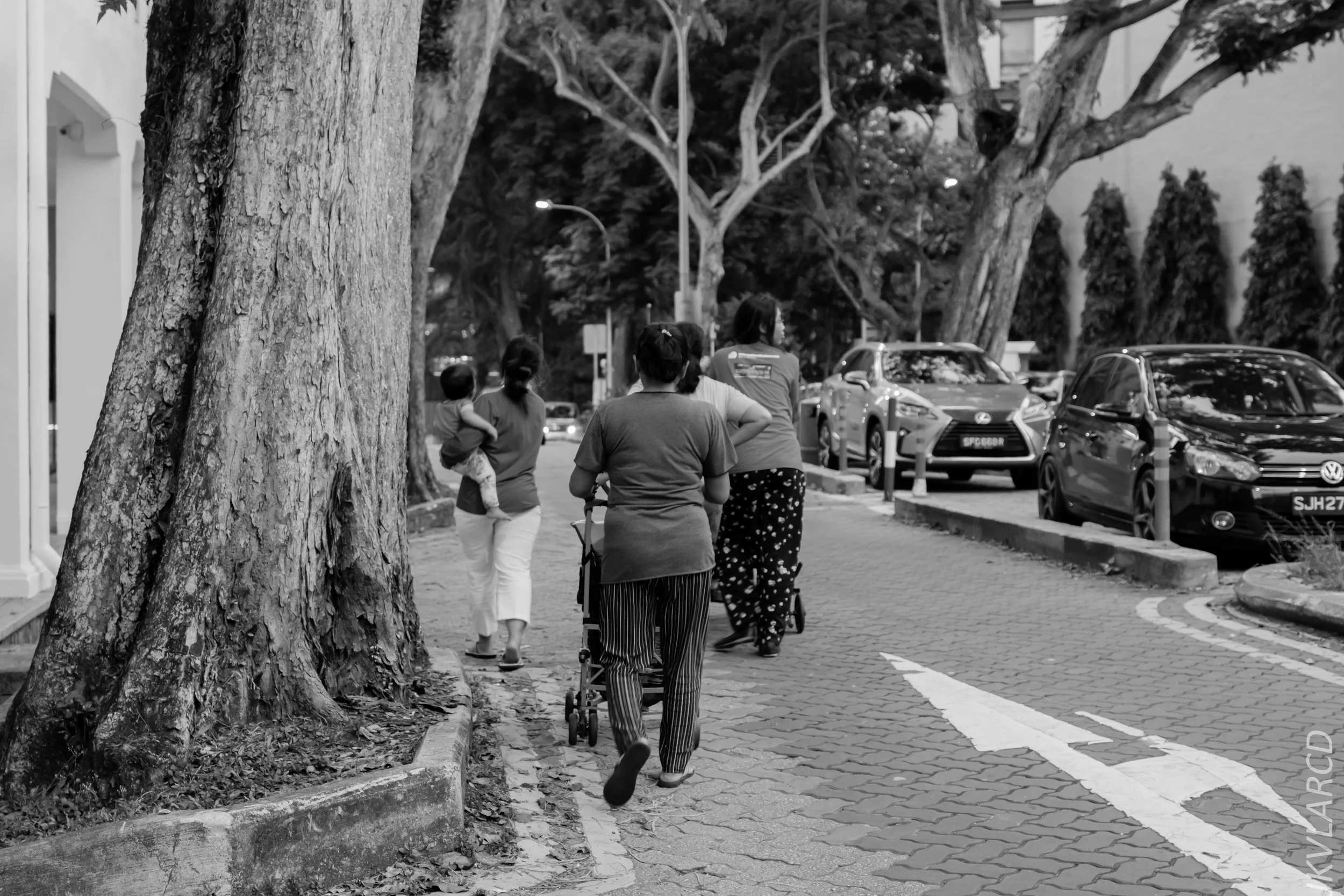 EOS 7D Mark II_2019_05_01_4243.jpg