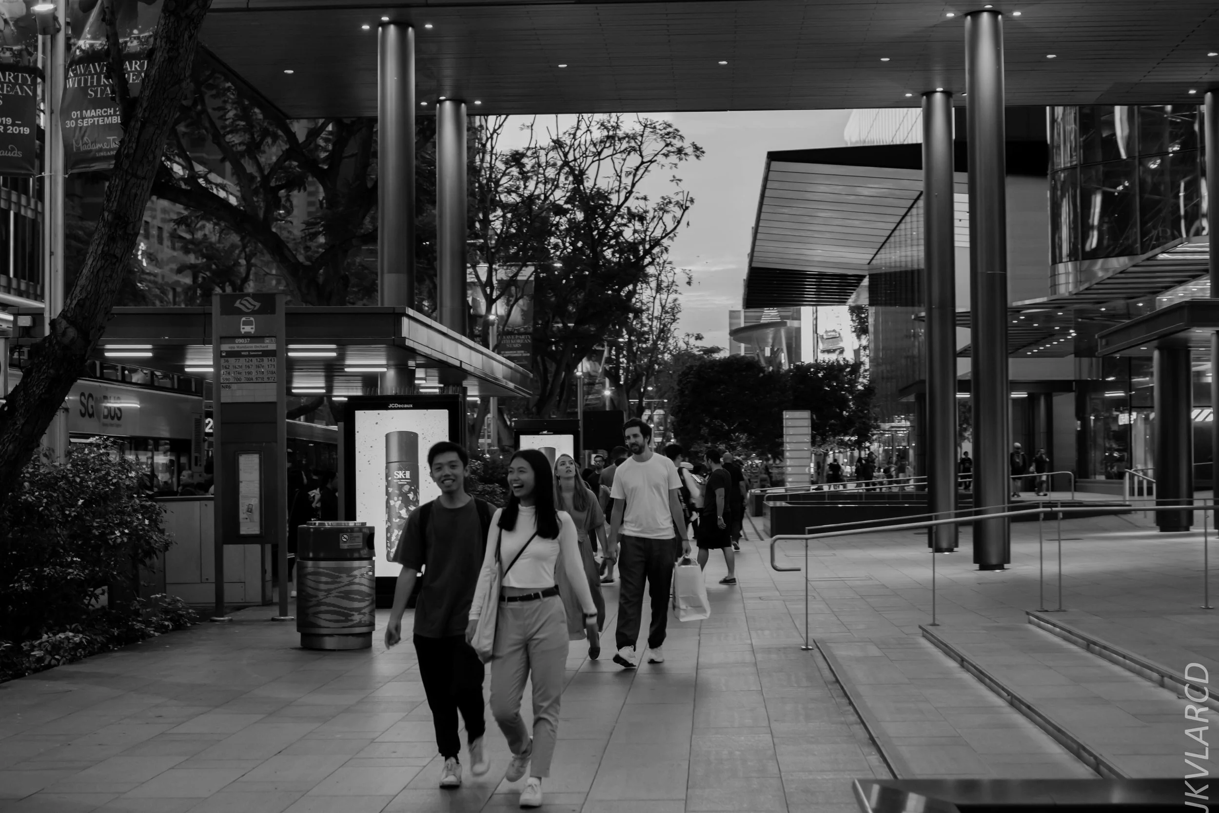 EOS 7D Mark II_2019_05_01_4247.jpg