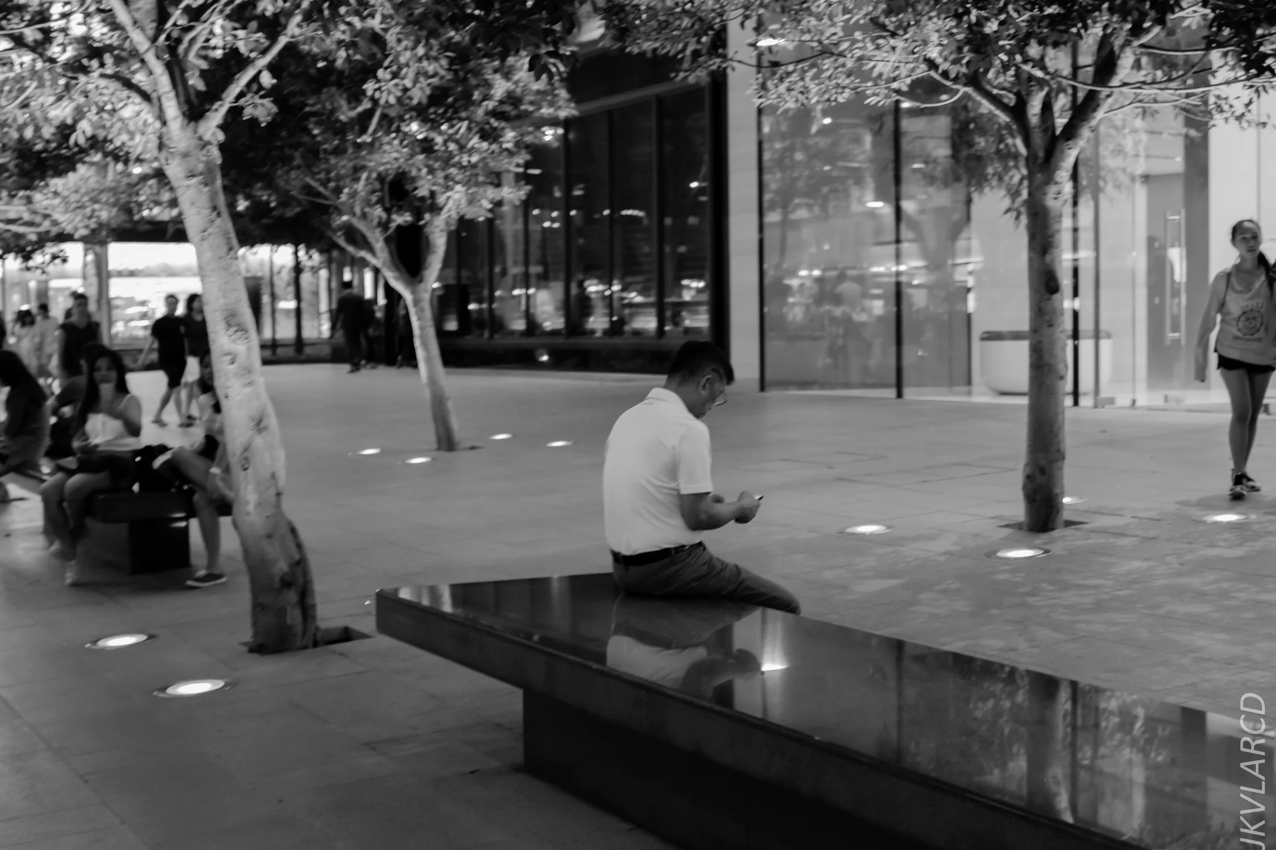 EOS 7D Mark II_2019_05_01_4248.jpg