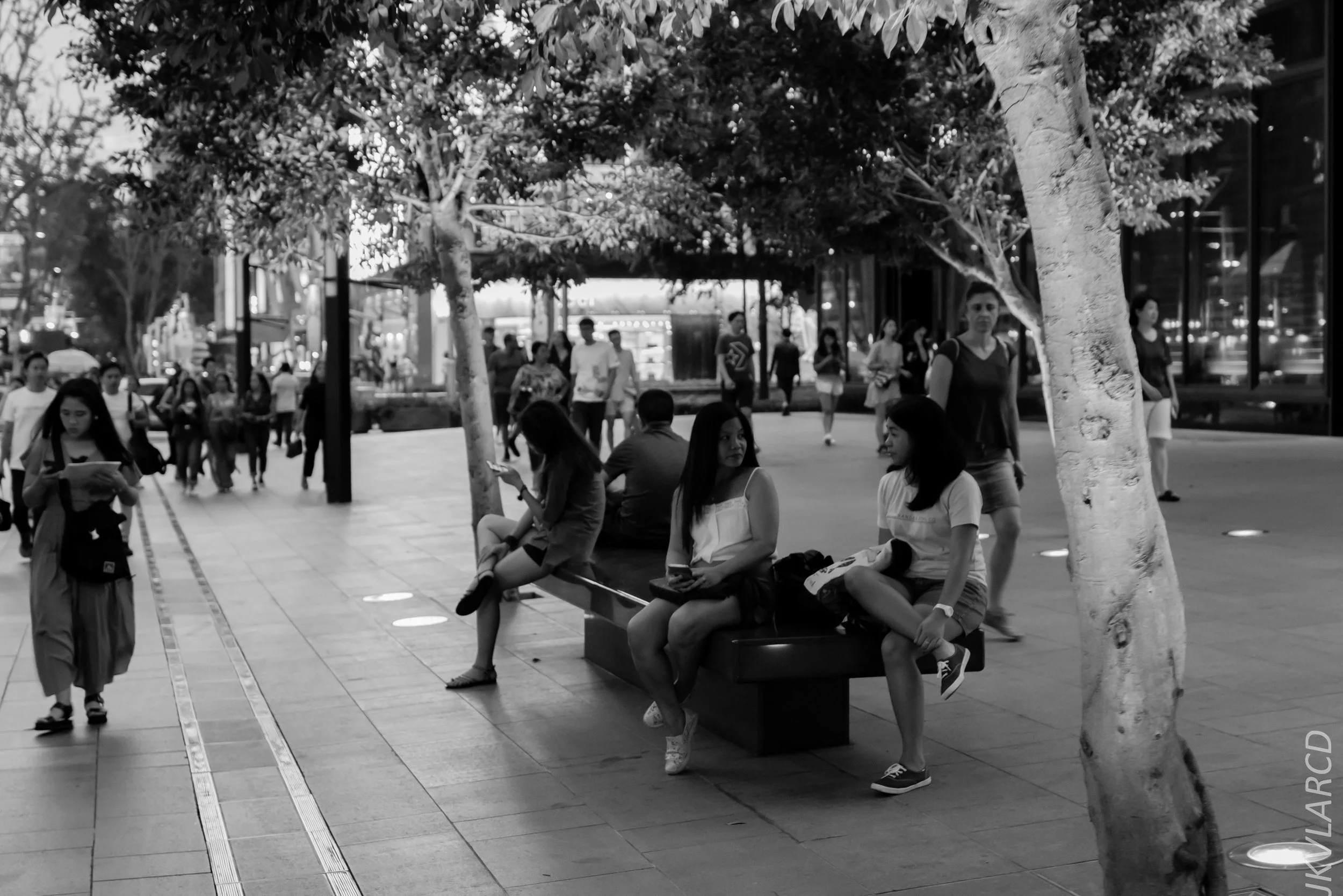 EOS 7D Mark II_2019_05_01_4249.jpg