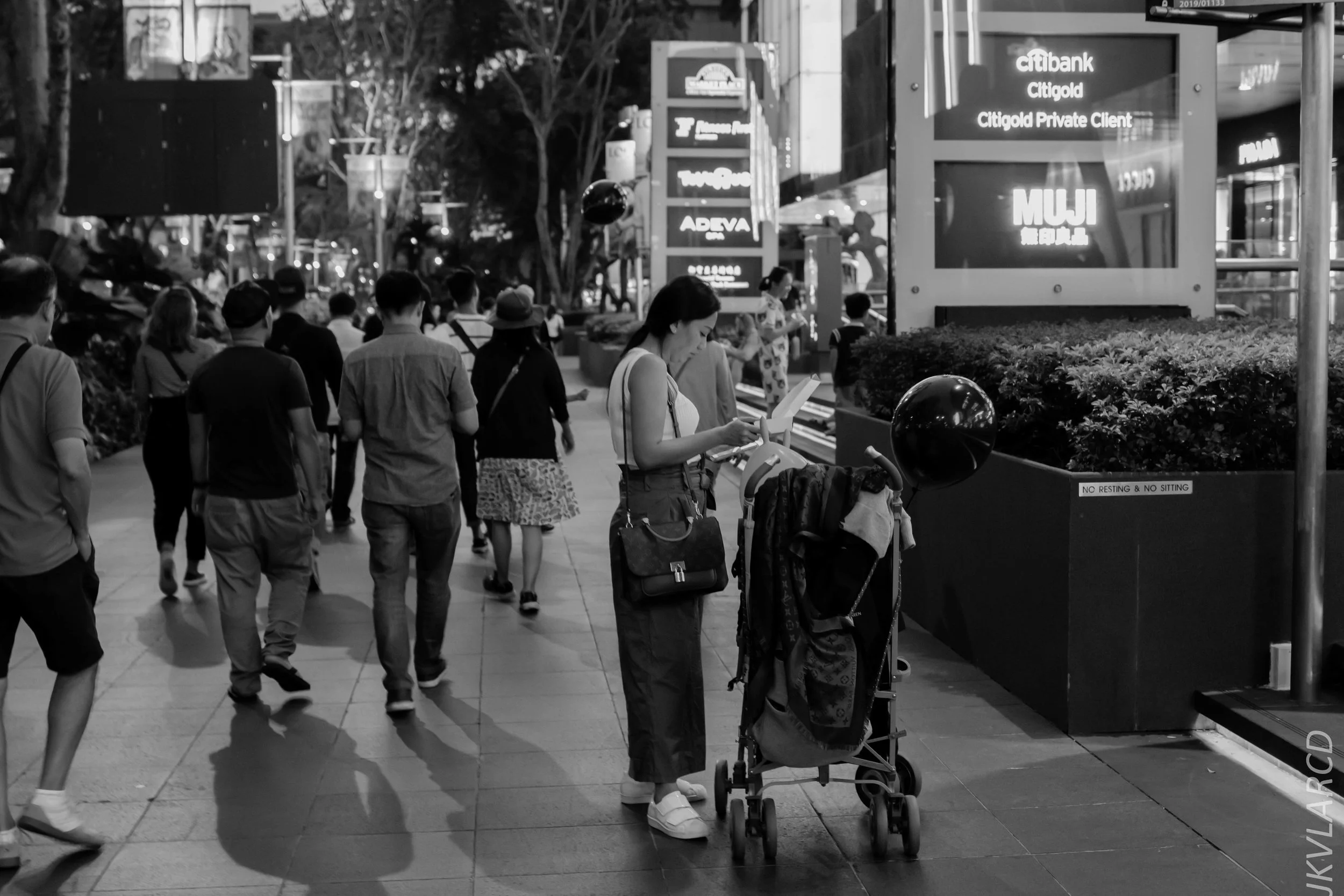 EOS 7D Mark II_2019_05_01_4254.jpg