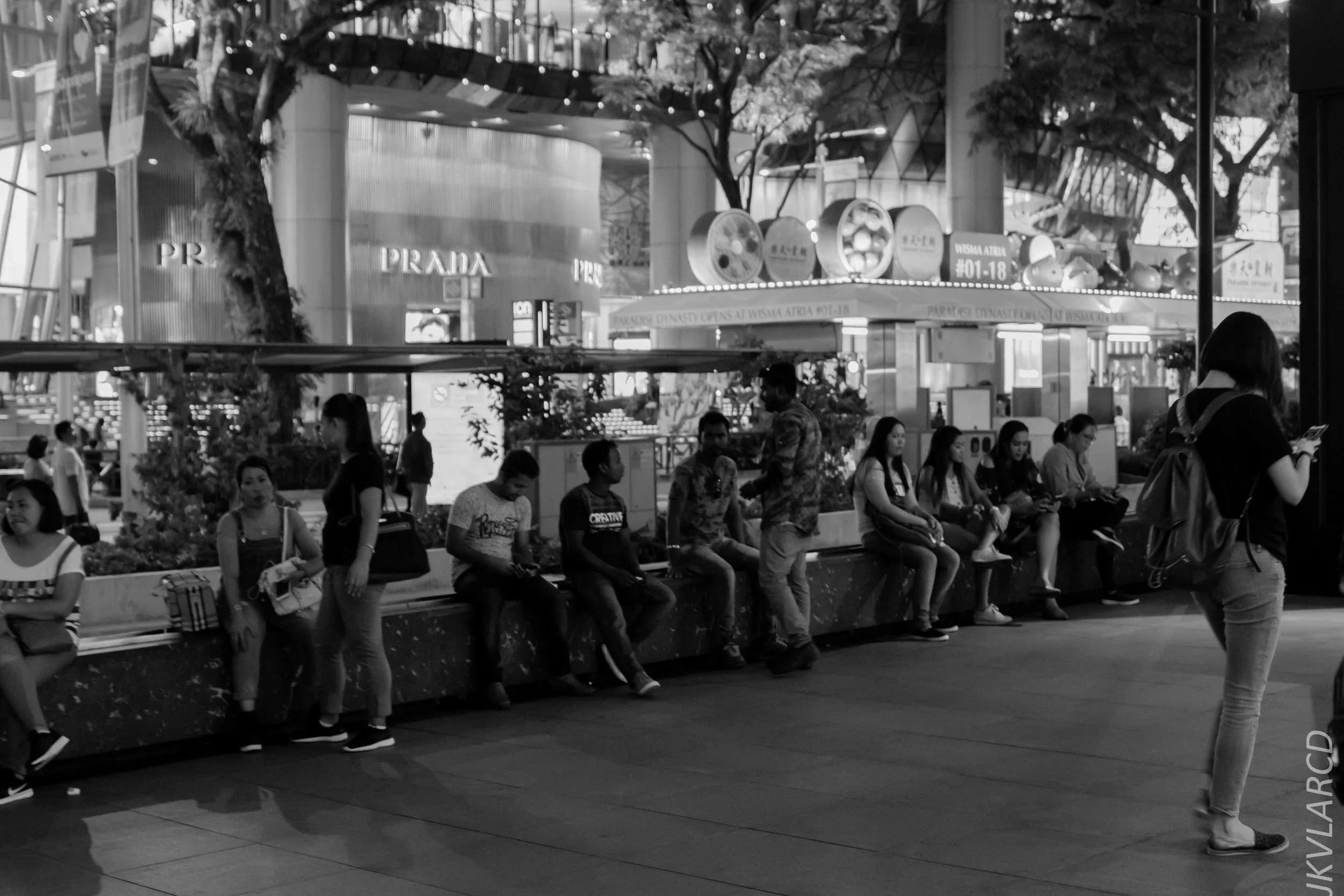 EOS 7D Mark II_2019_05_01_4263.jpg