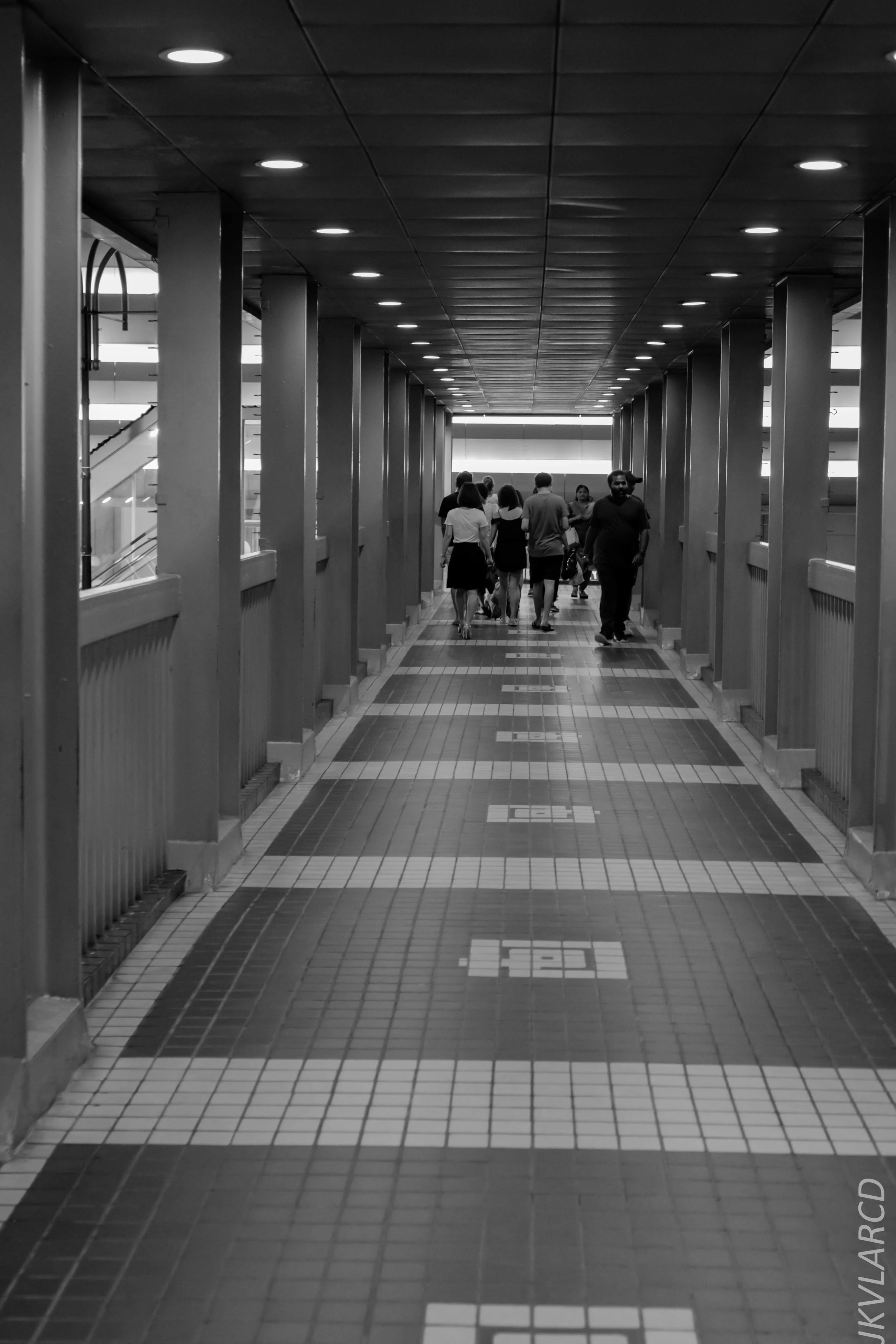 EOS 7D Mark II_2019_05_01_4273.jpg