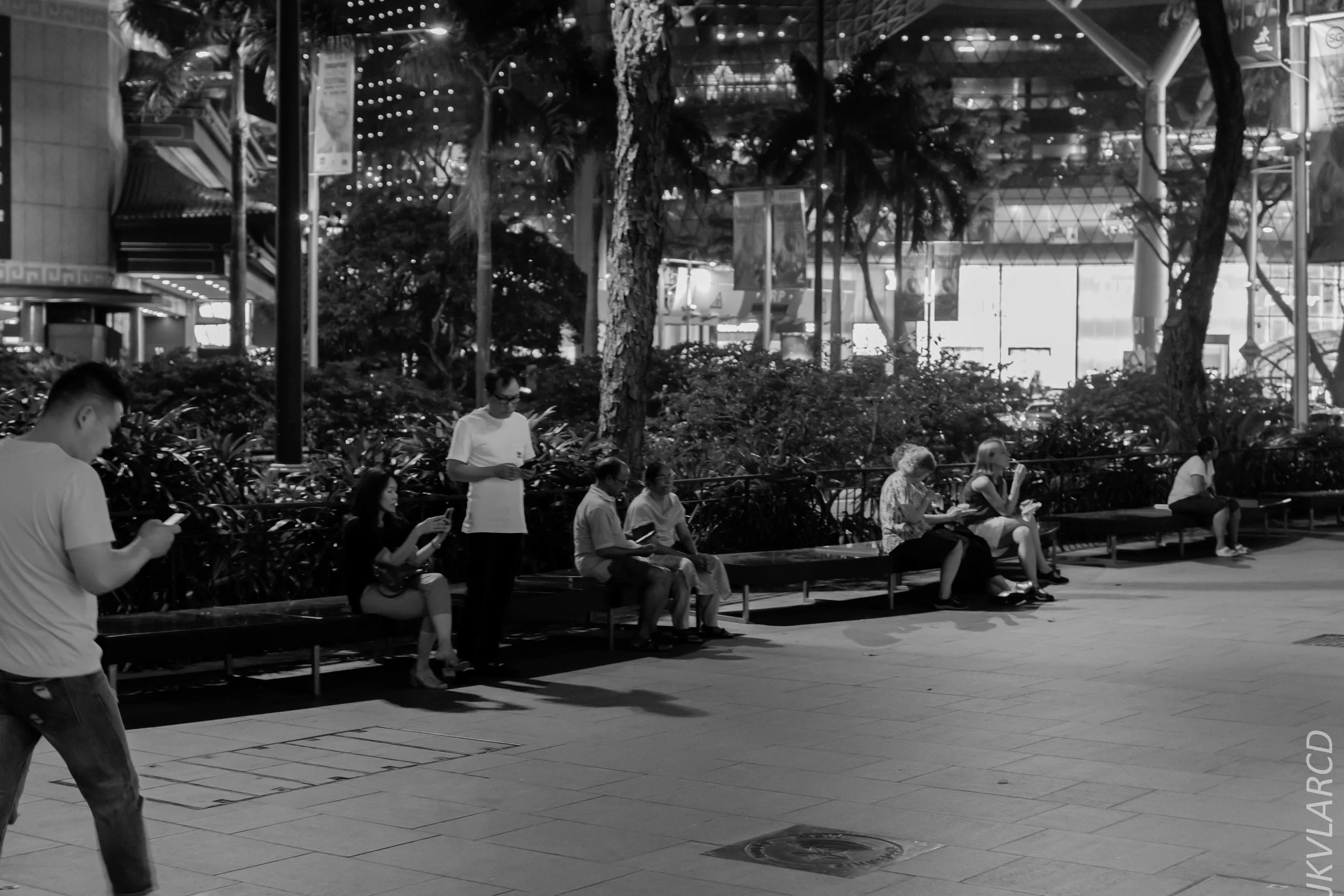 EOS 7D Mark II_2019_05_01_4281.jpg