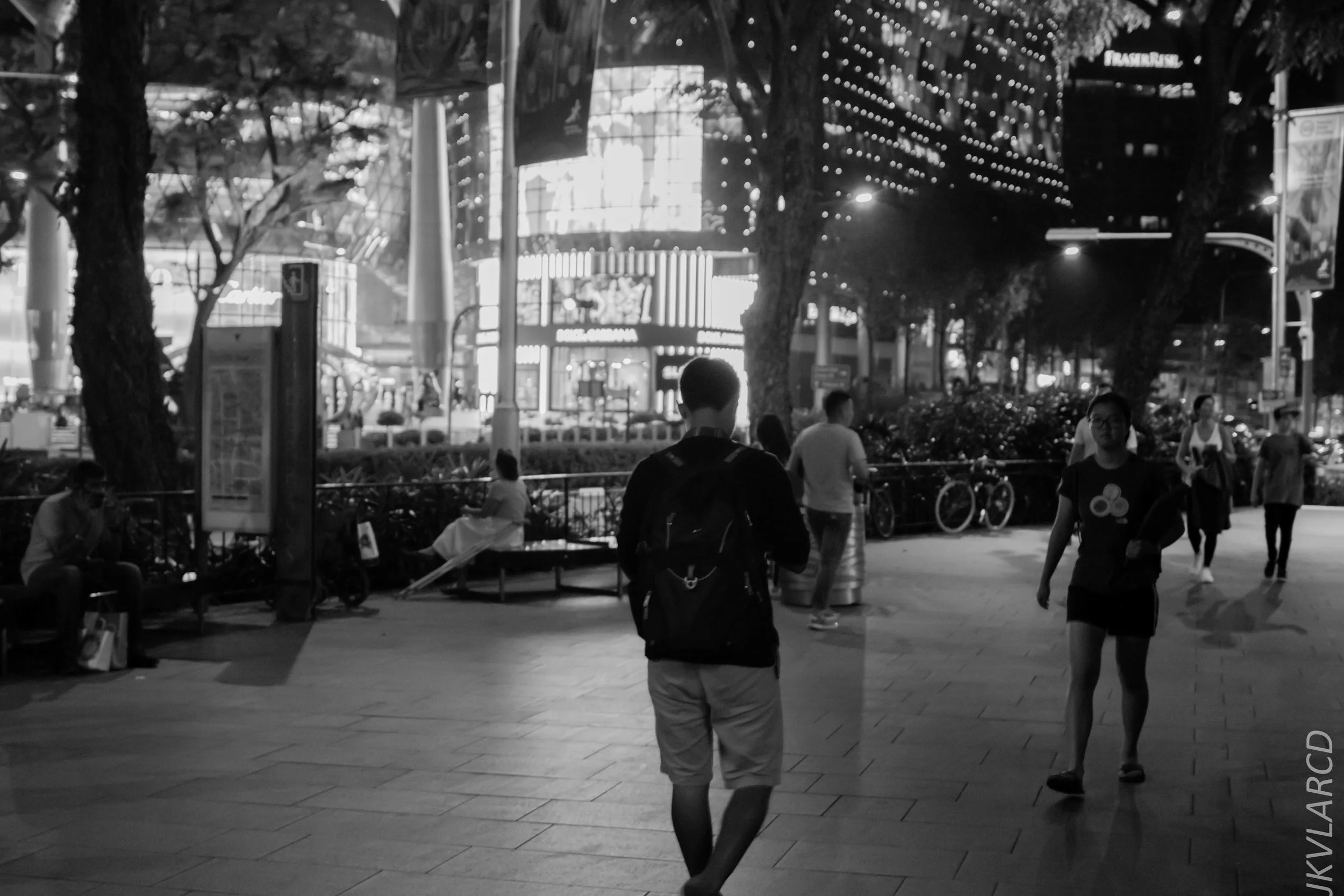 EOS 7D Mark II_2019_05_01_4284.jpg