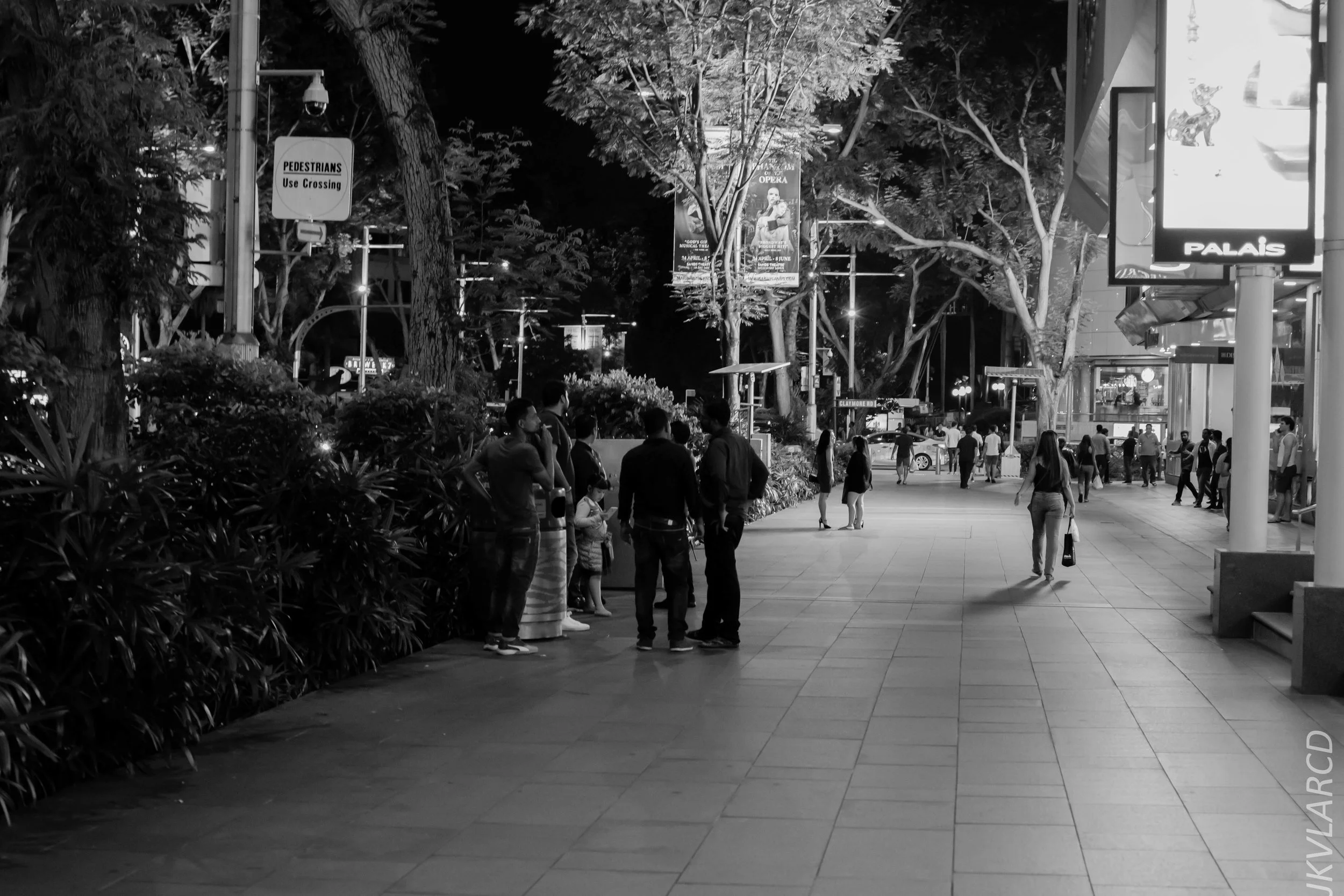 EOS 7D Mark II_2019_05_01_4289.jpg