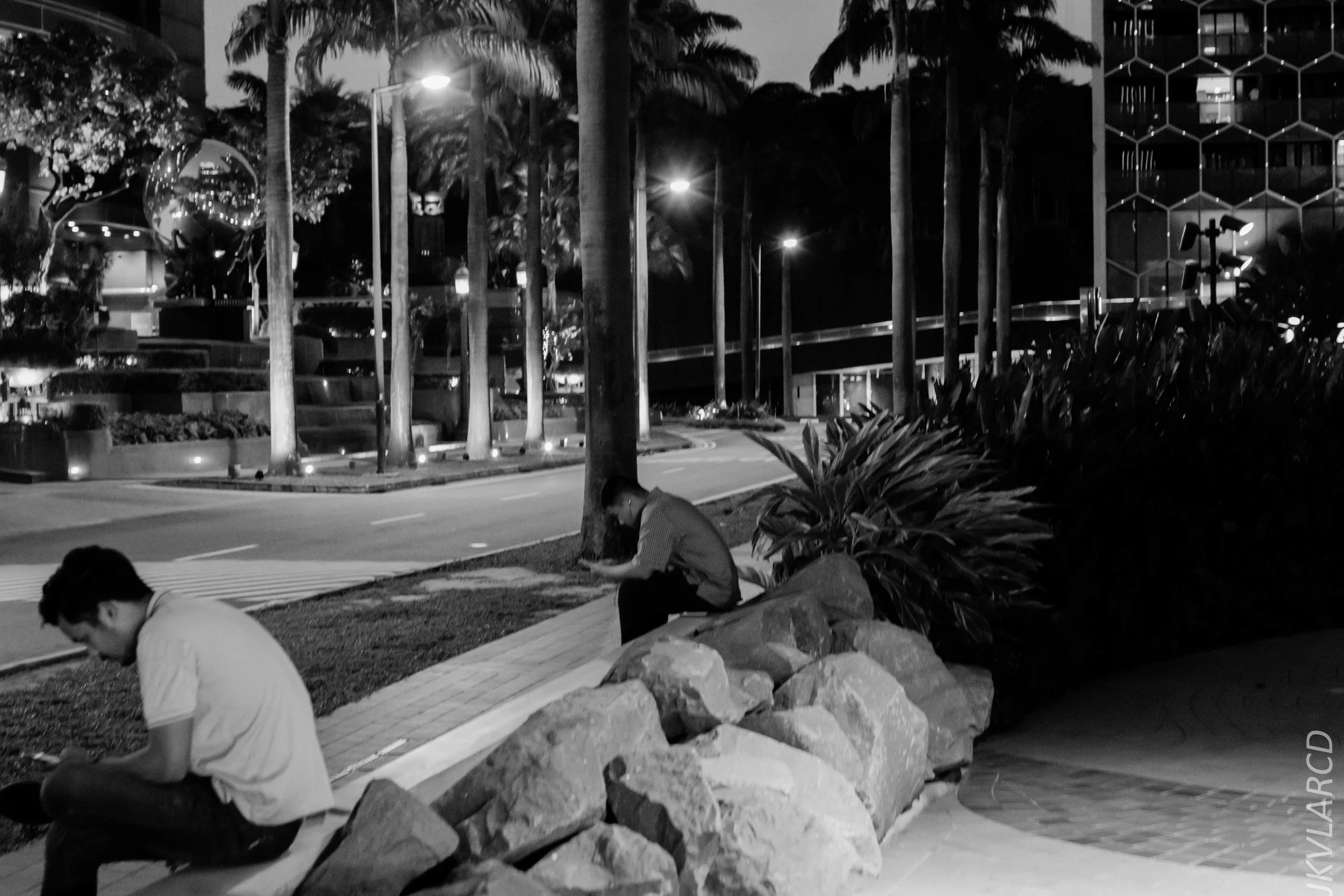 EOS 7D Mark II_2019_05_20_5538.jpg