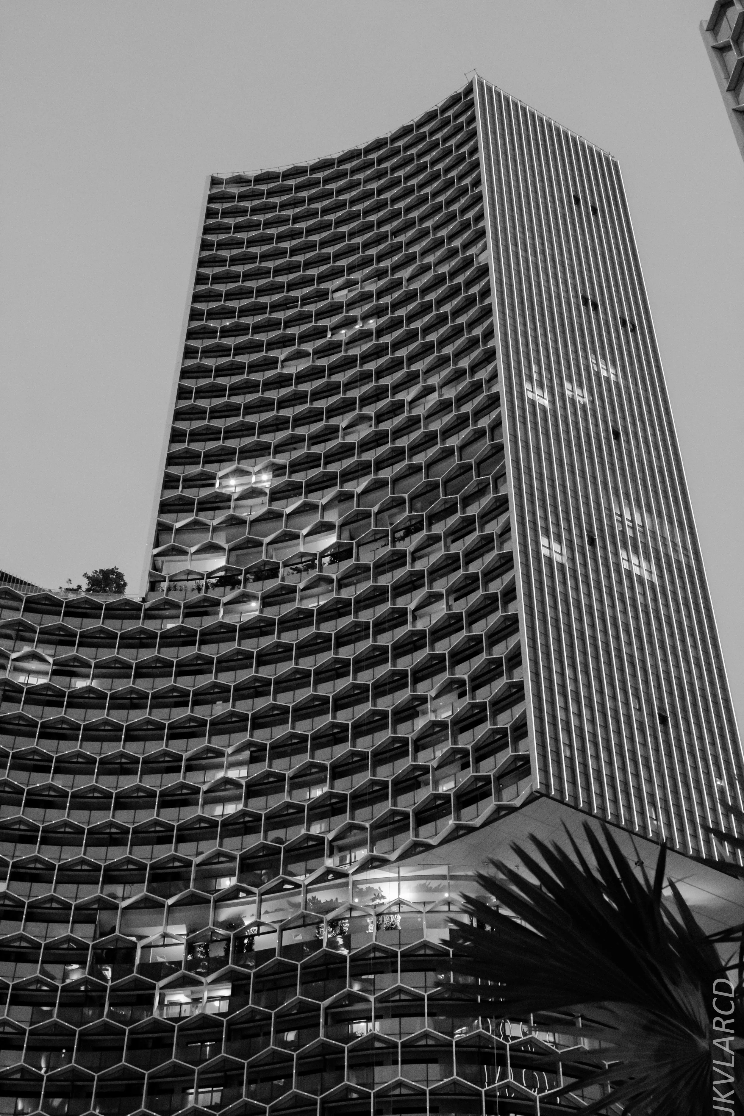 EOS 7D Mark II_2019_05_20_5539.jpg