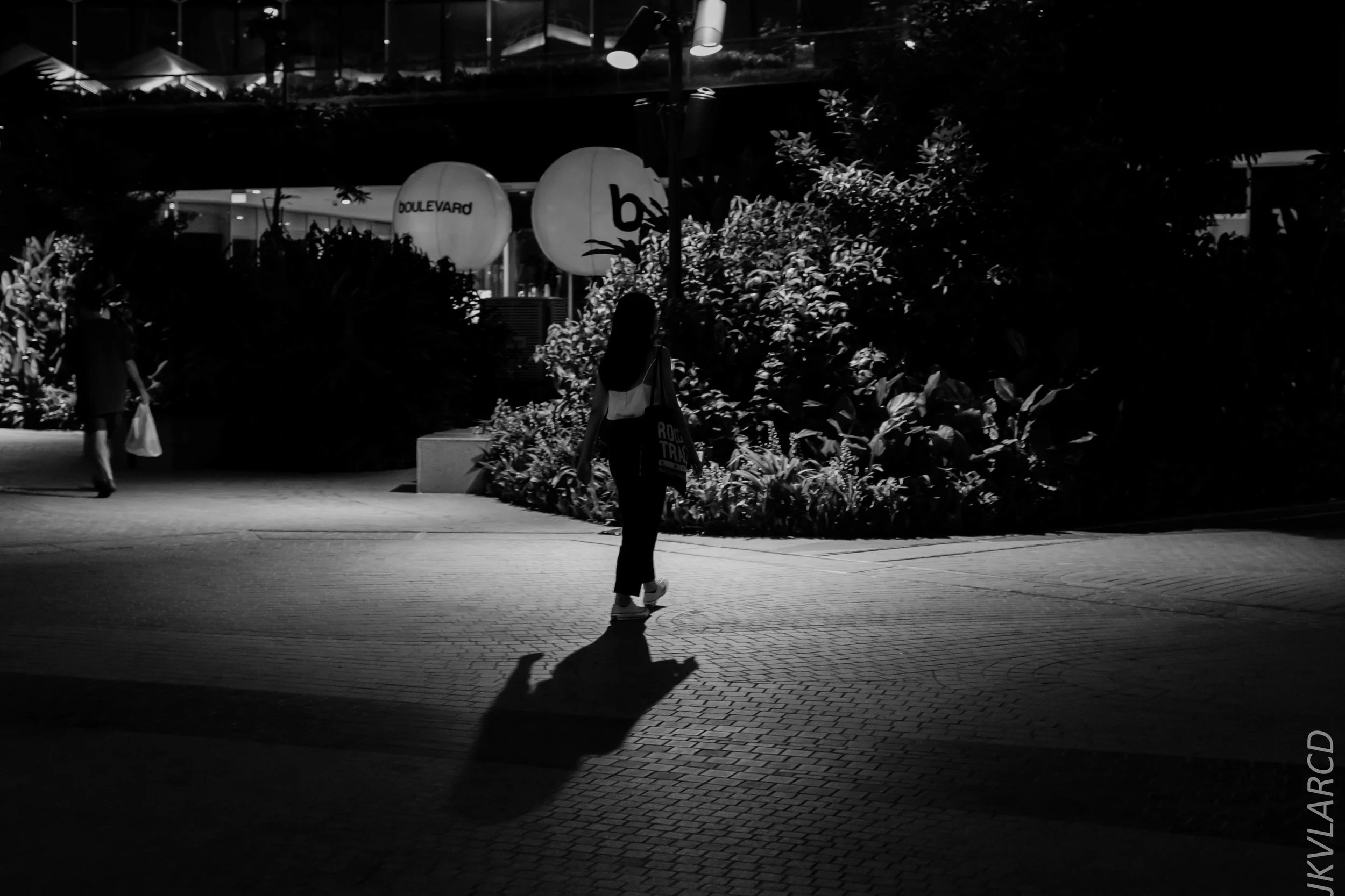 EOS 7D Mark II_2019_05_20_5540.jpg