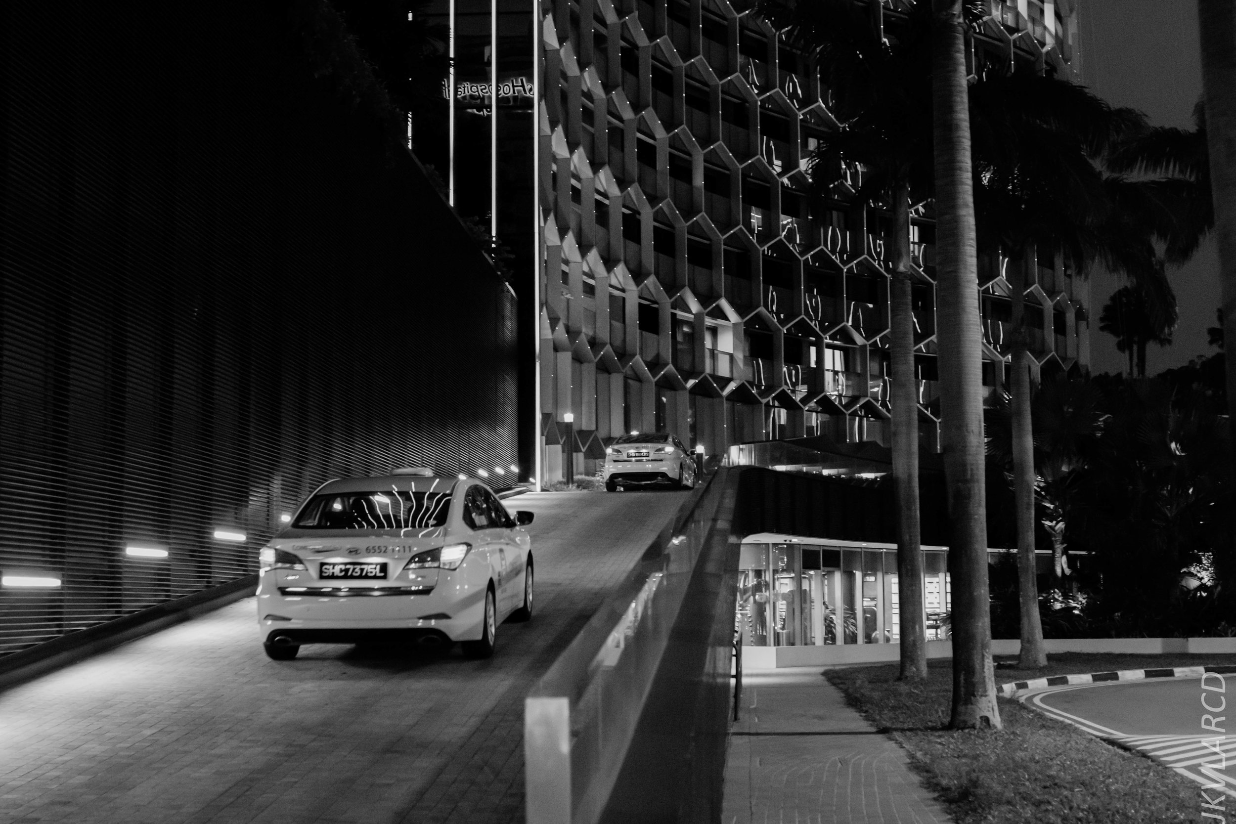 EOS 7D Mark II_2019_05_20_5543.jpg