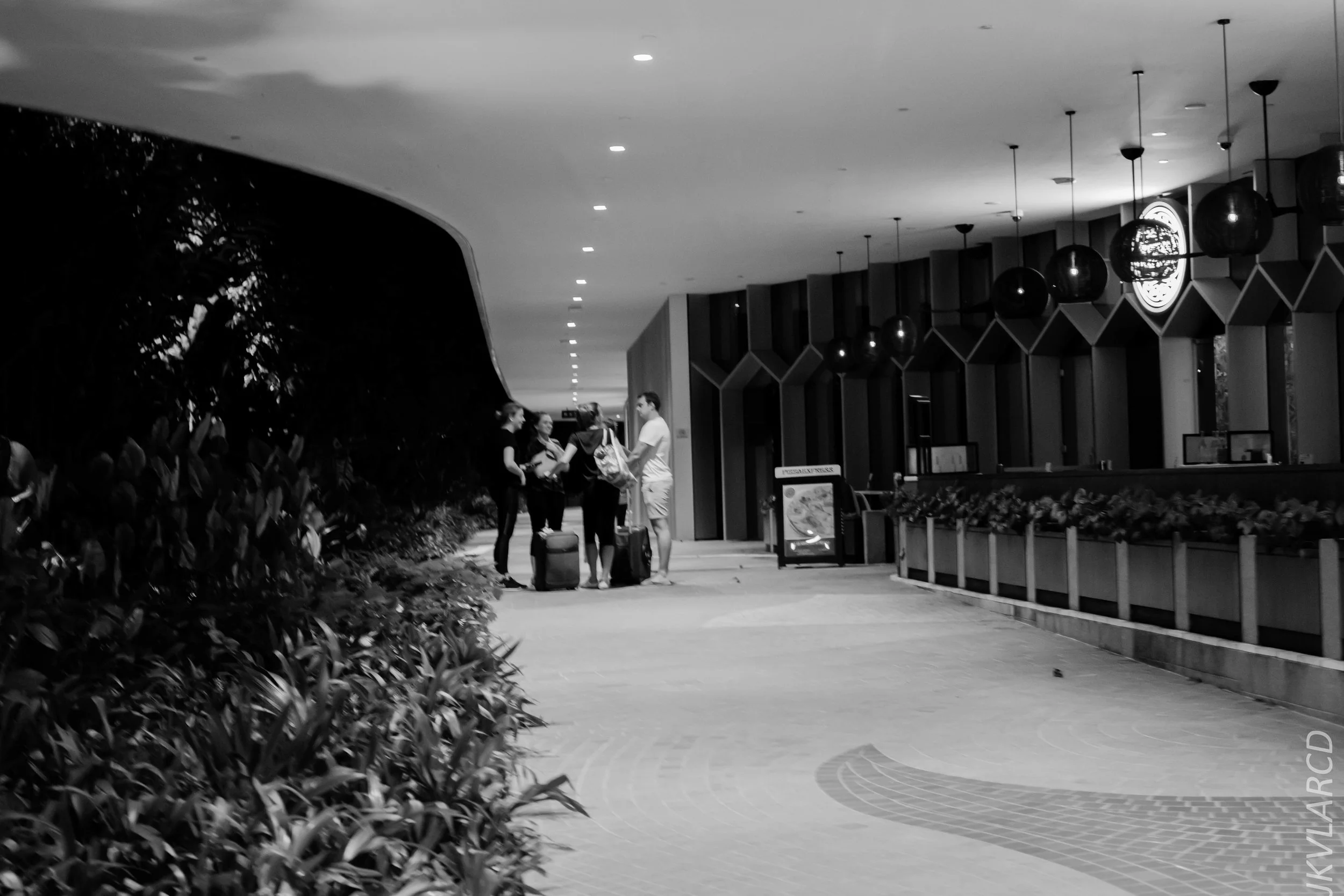 EOS 7D Mark II_2019_05_20_5544.jpg