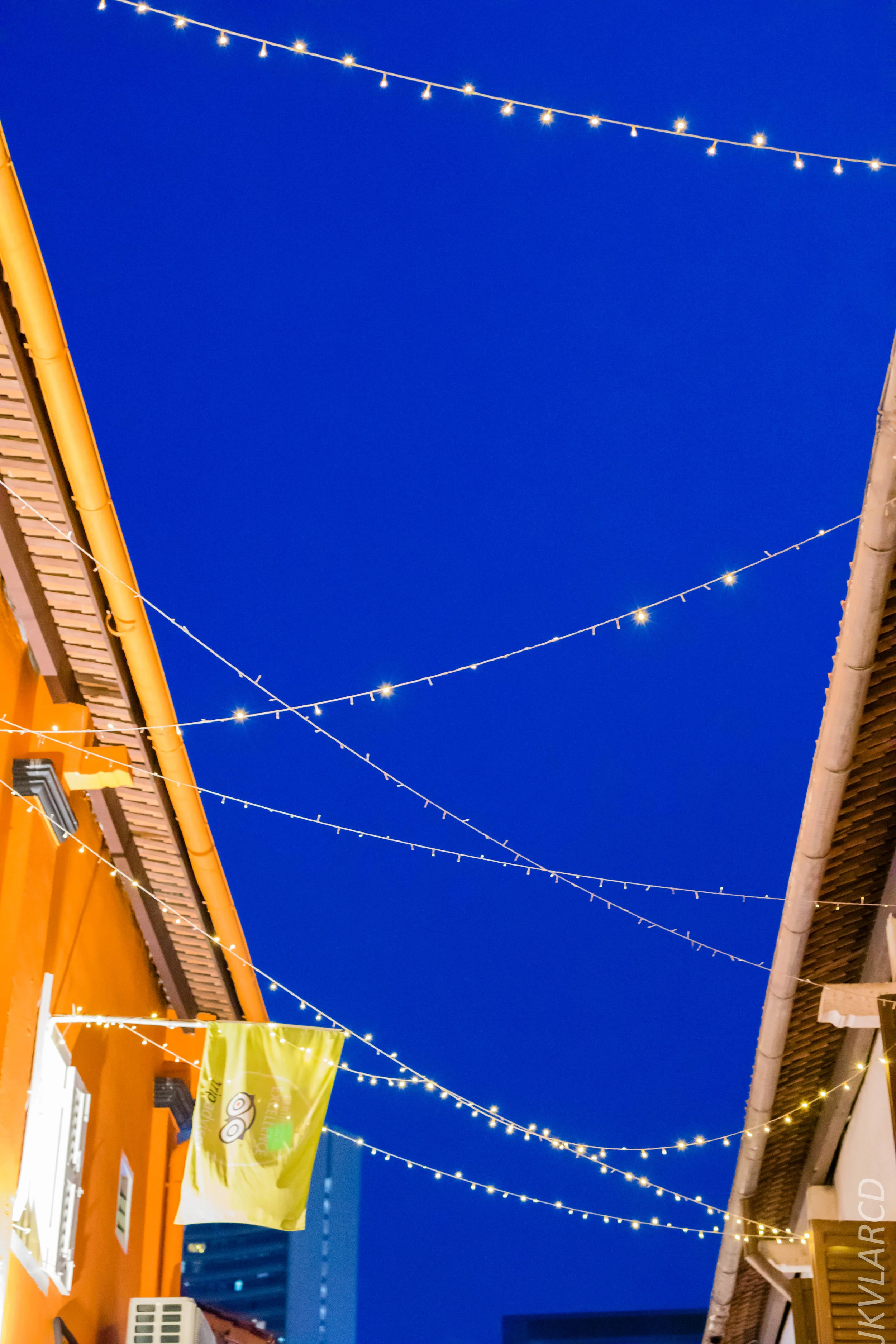 EOS 7D Mark II_2019_05_20_5546.jpg