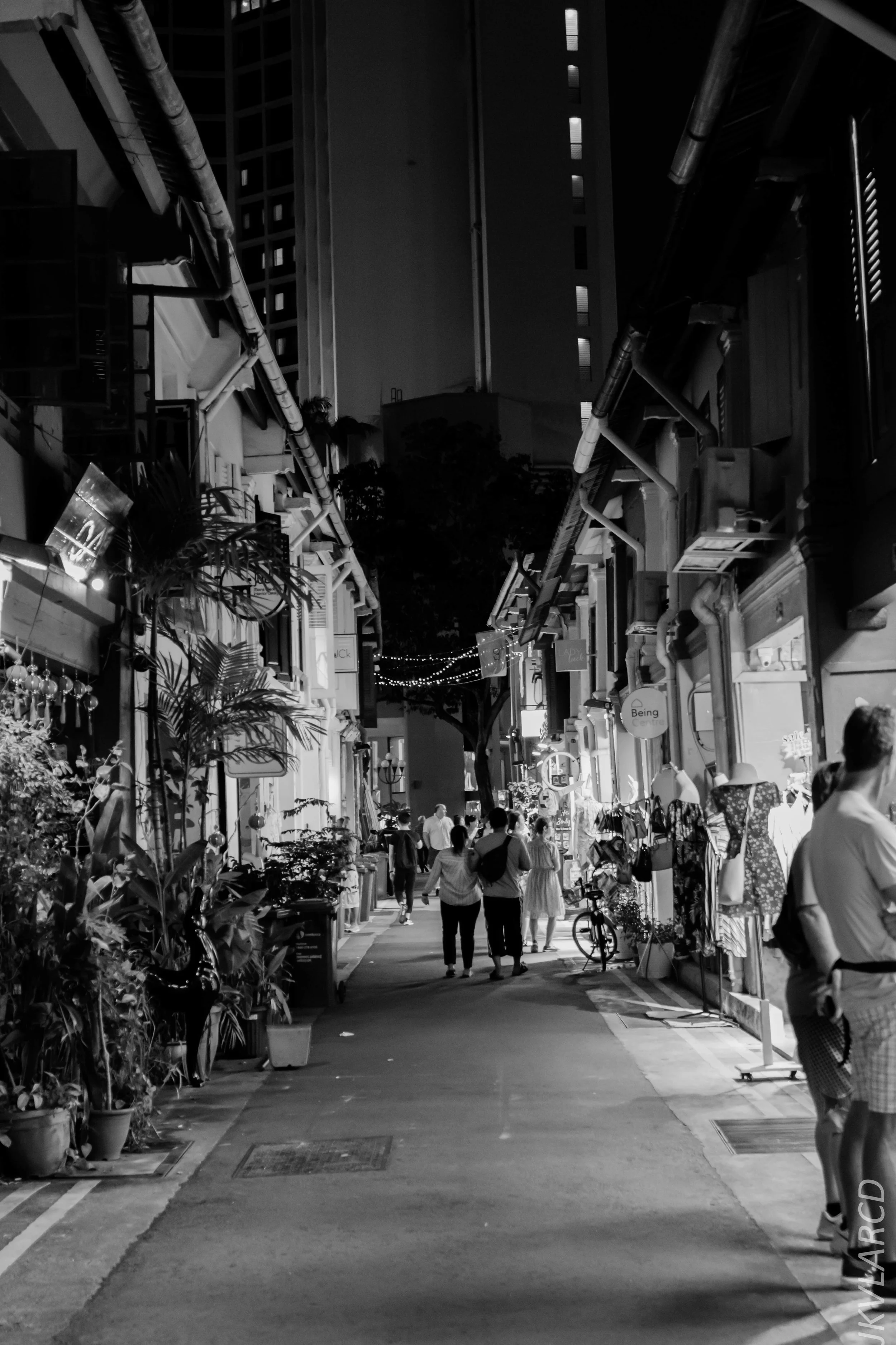 EOS 7D Mark II_2019_05_20_5566.jpg