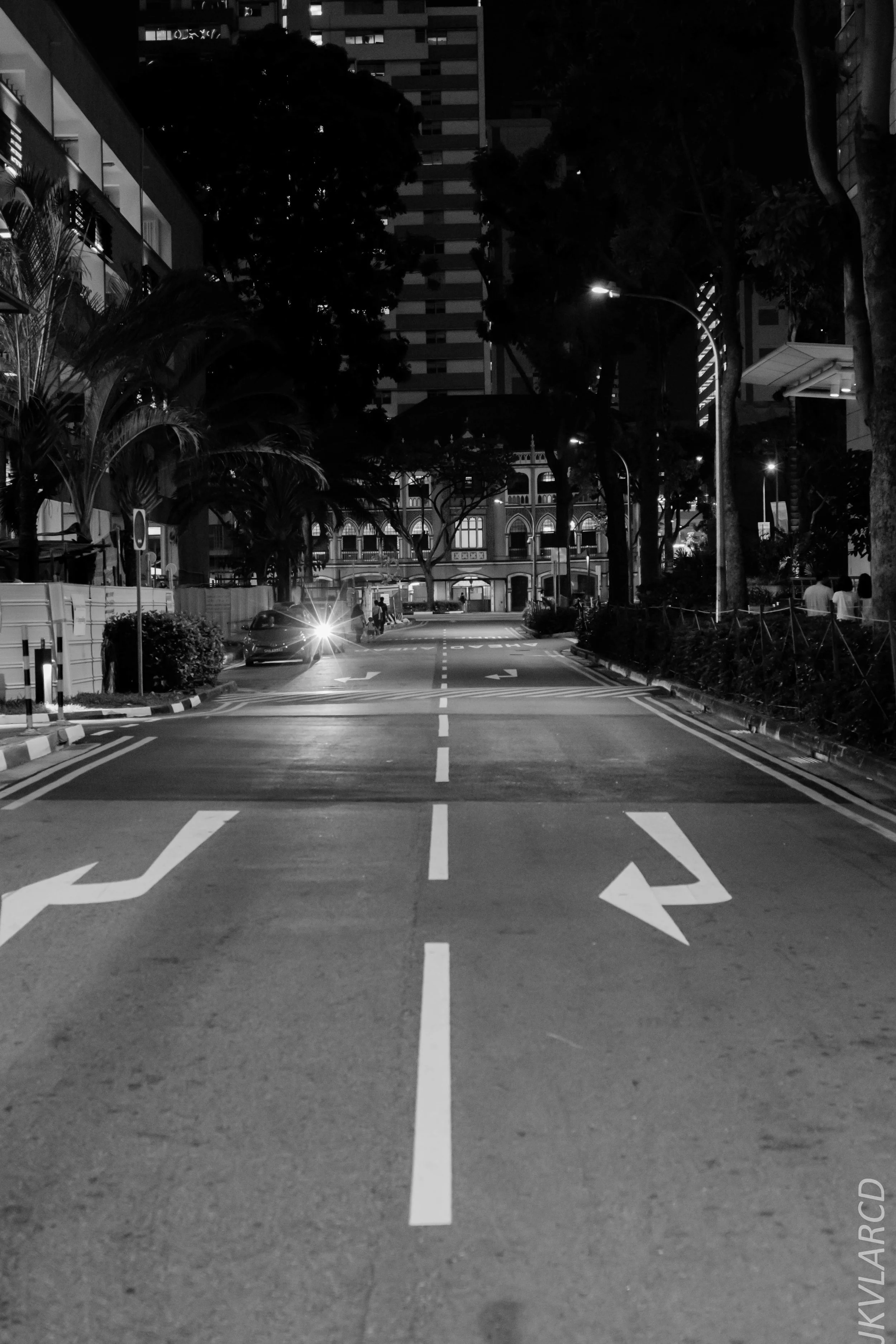 EOS 7D Mark II_2019_05_20_5596.jpg