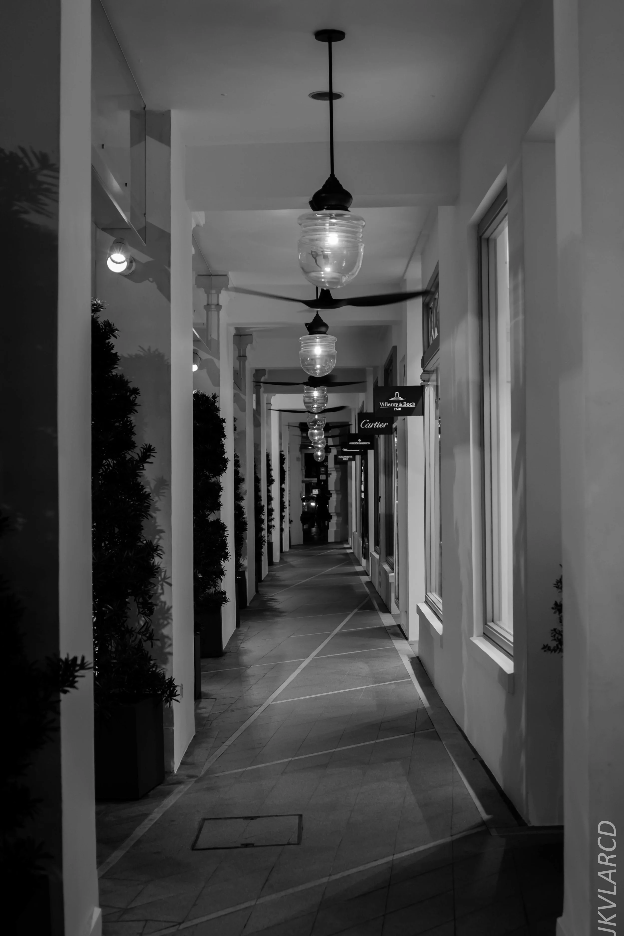 EOS 7D Mark II_2019_05_20_5616.jpg