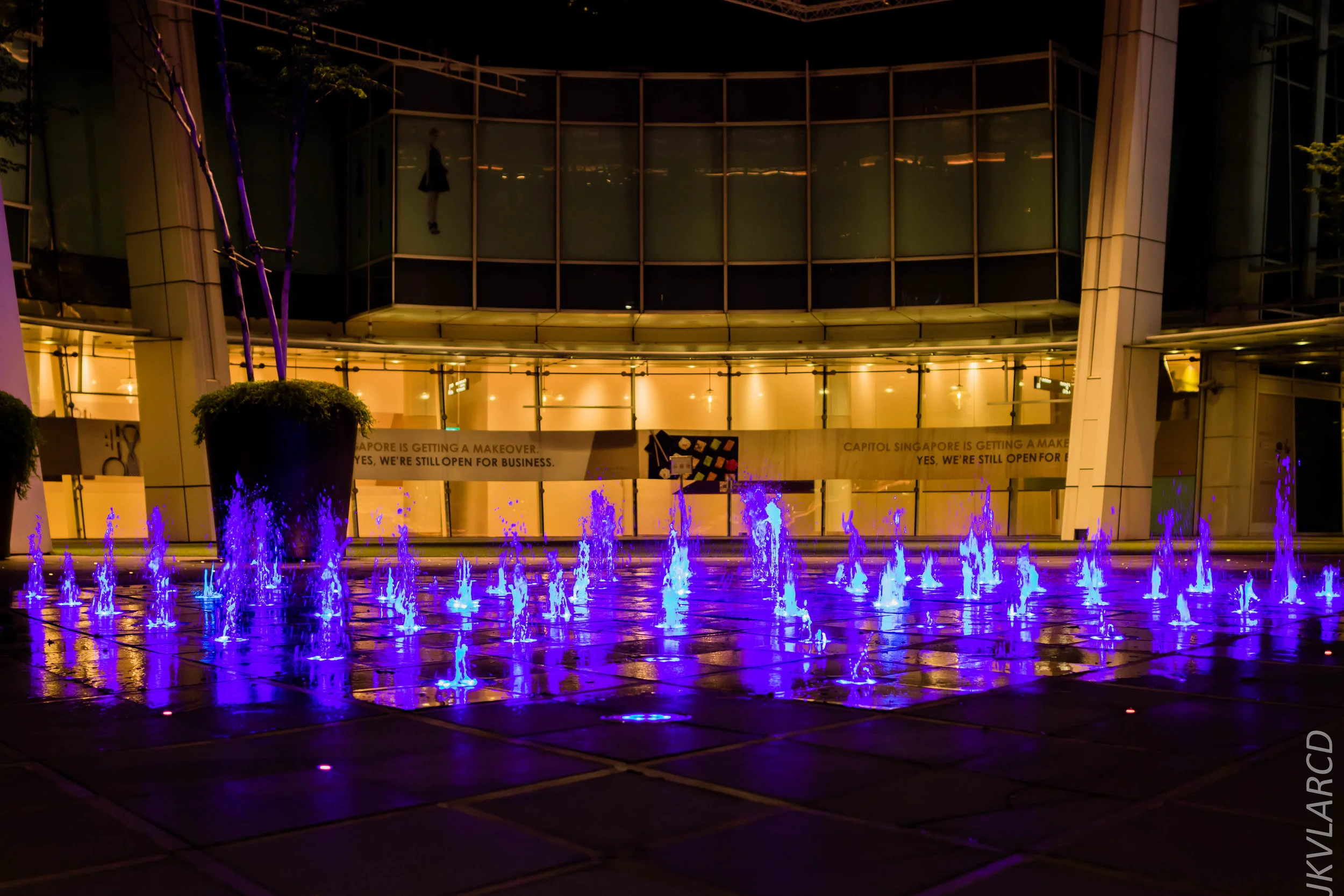 EOS 7D Mark II_2019_05_20_5618.jpg