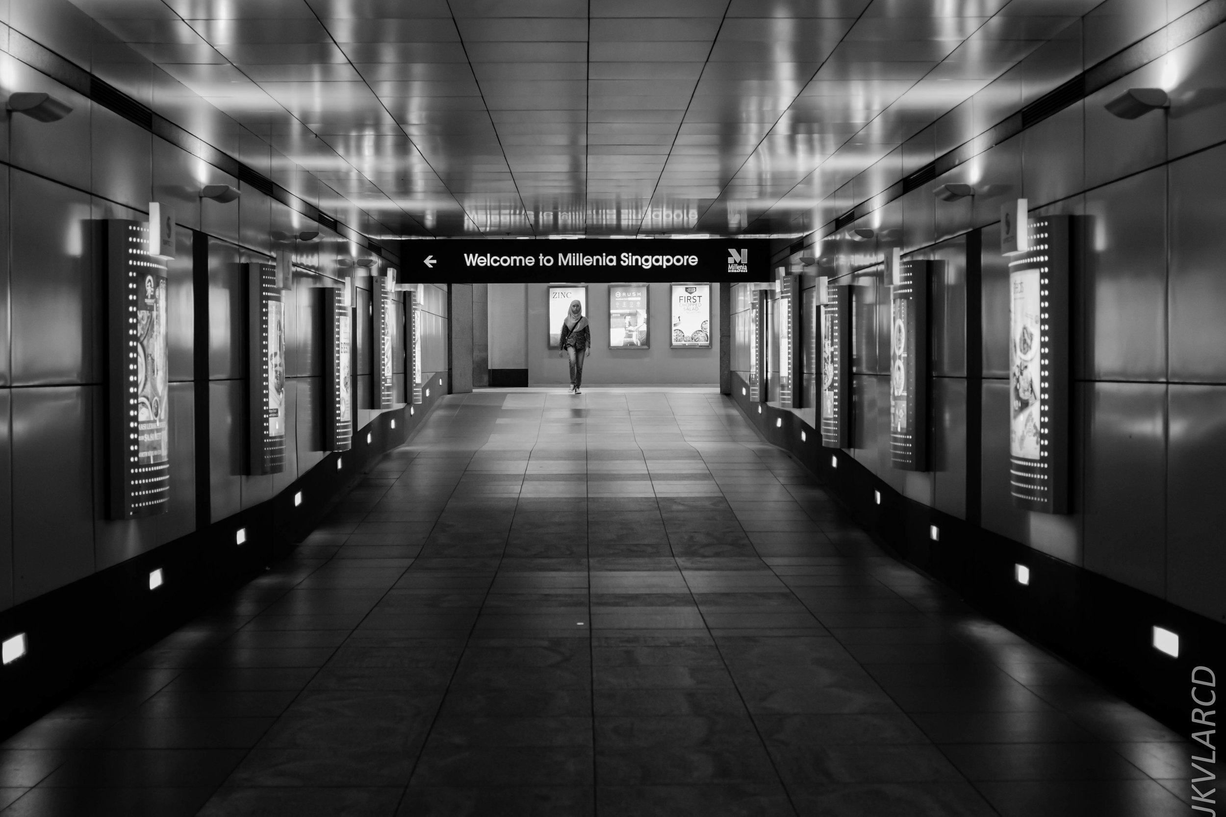 EOS 7D Mark II_2019_05_20_5628.jpg