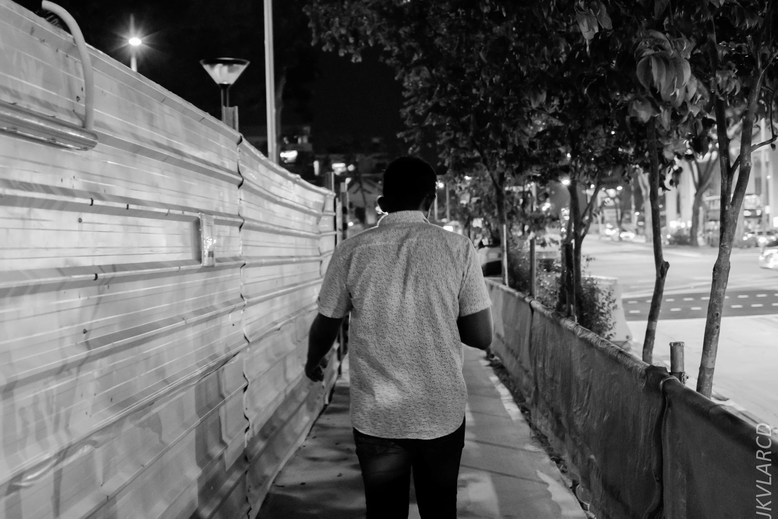 EOS 7D Mark II_2019_08_03_5935.jpg