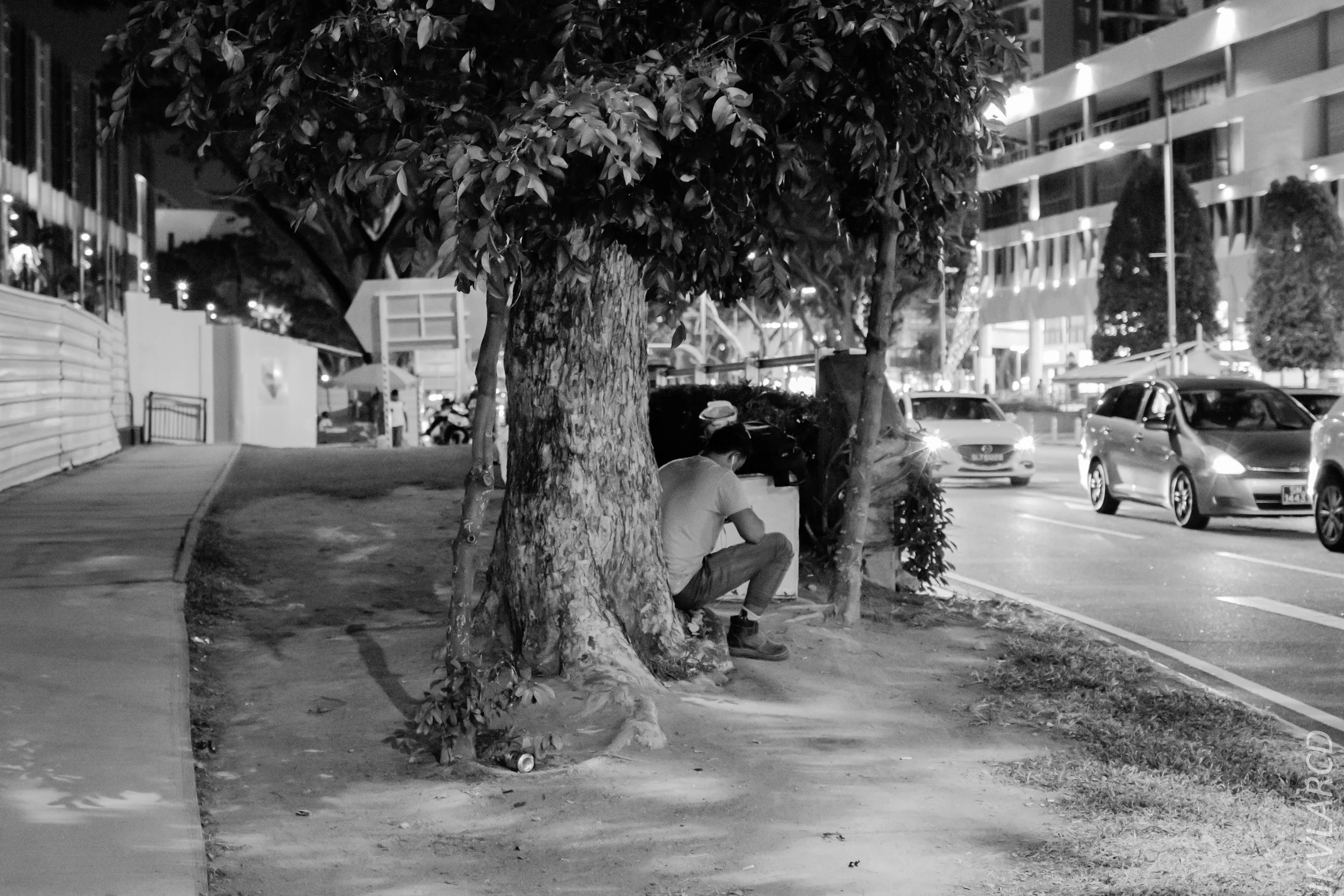 EOS 7D Mark II_2019_08_03_5936.jpg