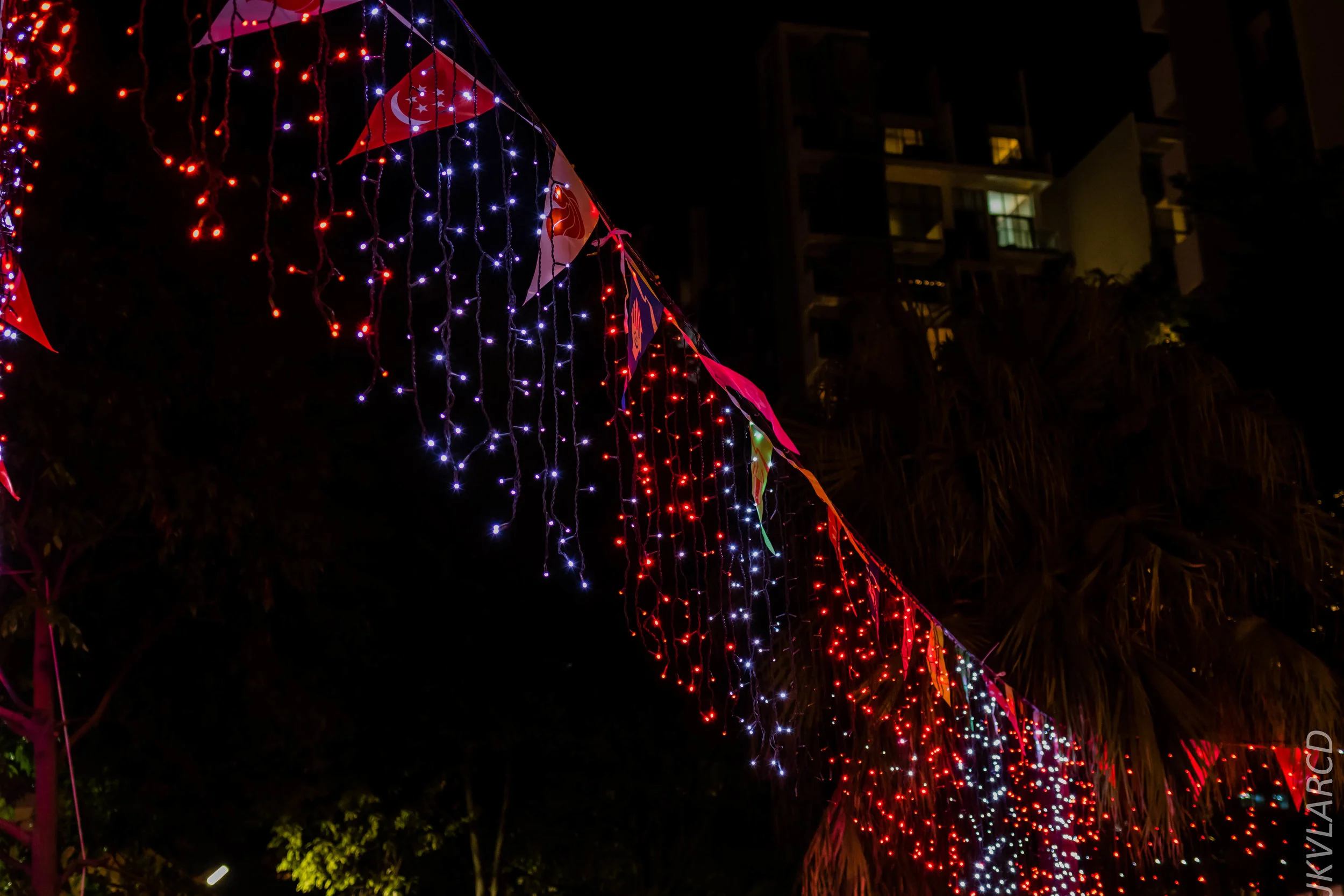 EOS 7D Mark II_2019_08_03_5944.jpg