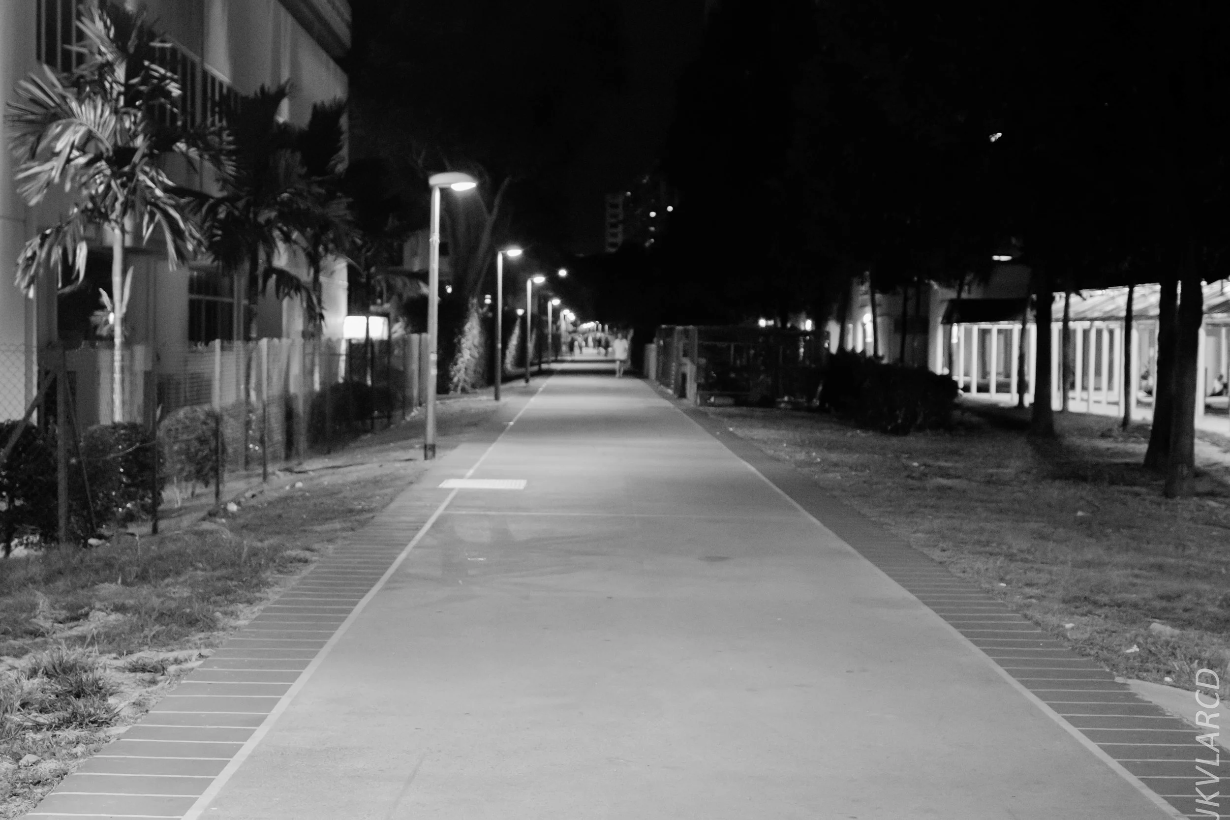 EOS 7D Mark II_2019_08_03_5948.jpg