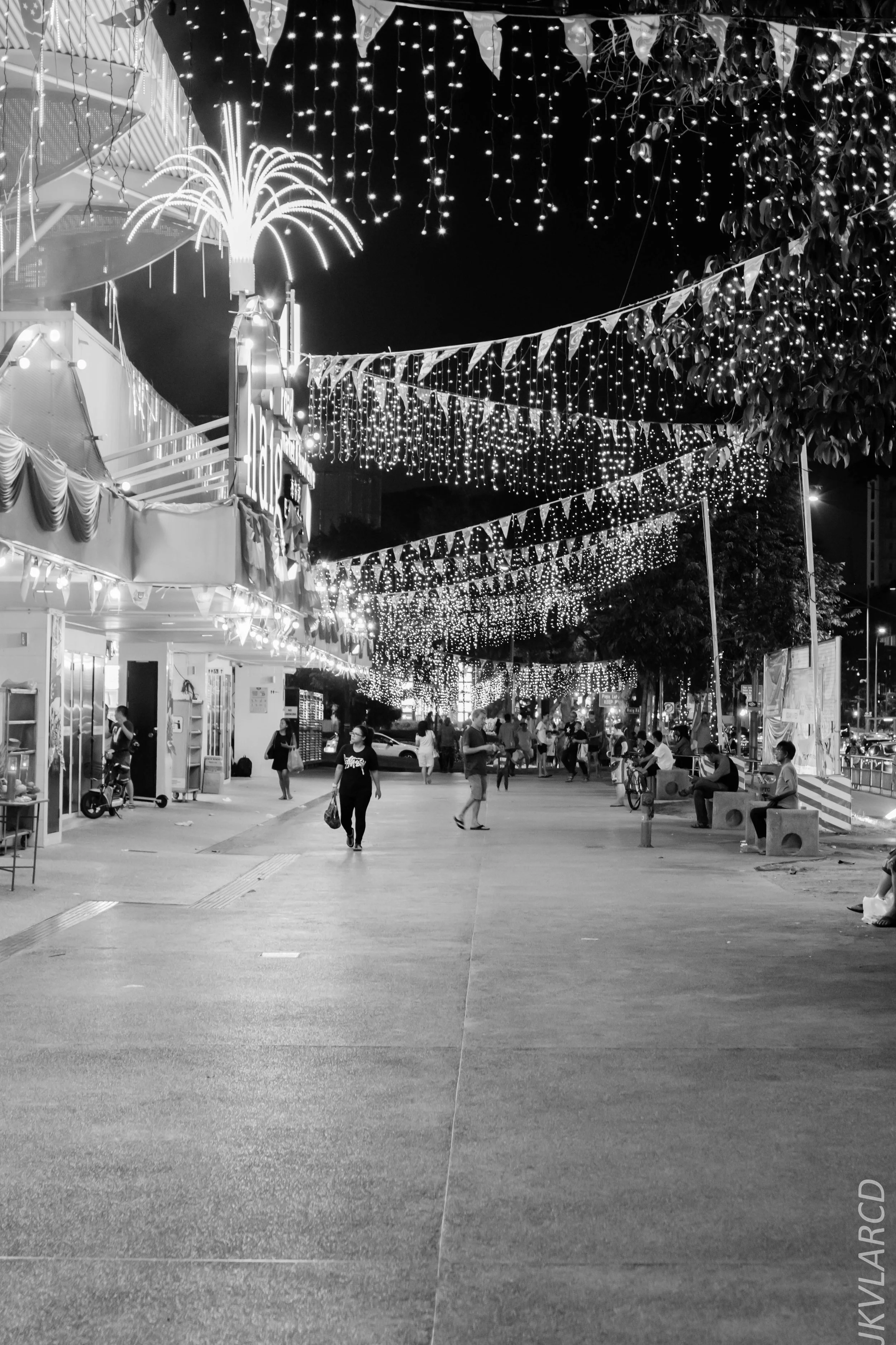 EOS 7D Mark II_2019_08_03_5952.jpg