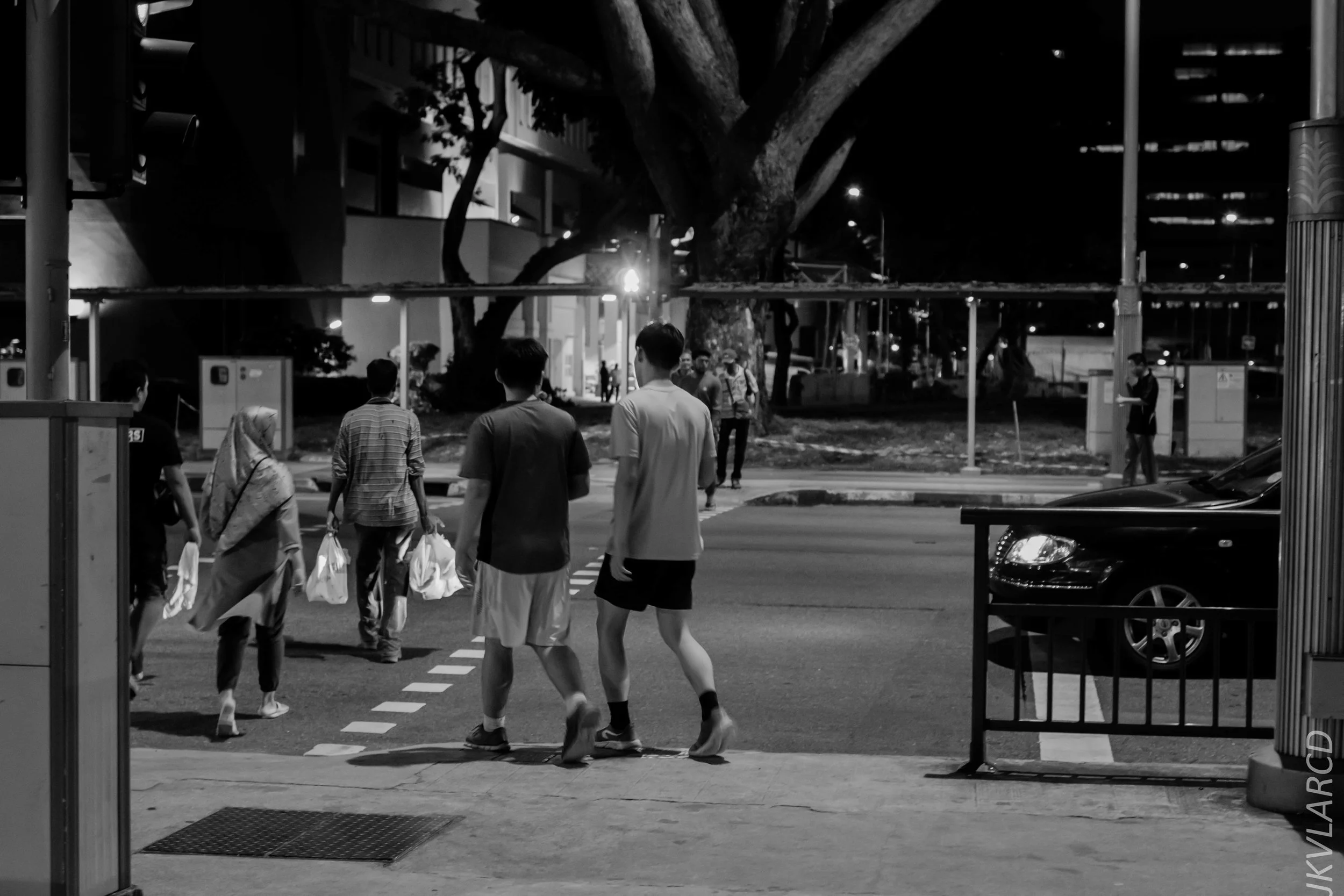 EOS 7D Mark II_2019_08_03_5954.jpg