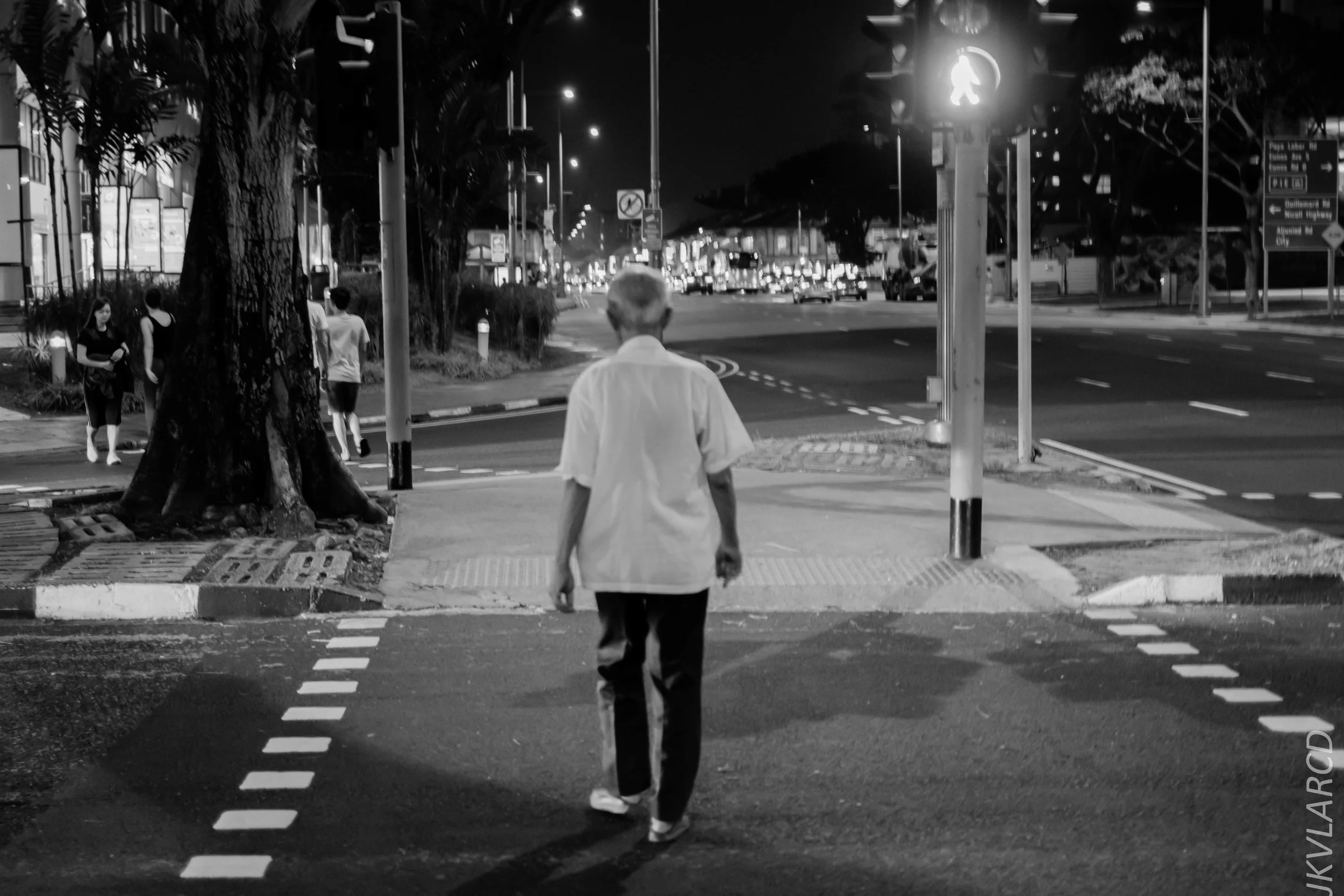 EOS 7D Mark II_2019_08_03_5958.jpg