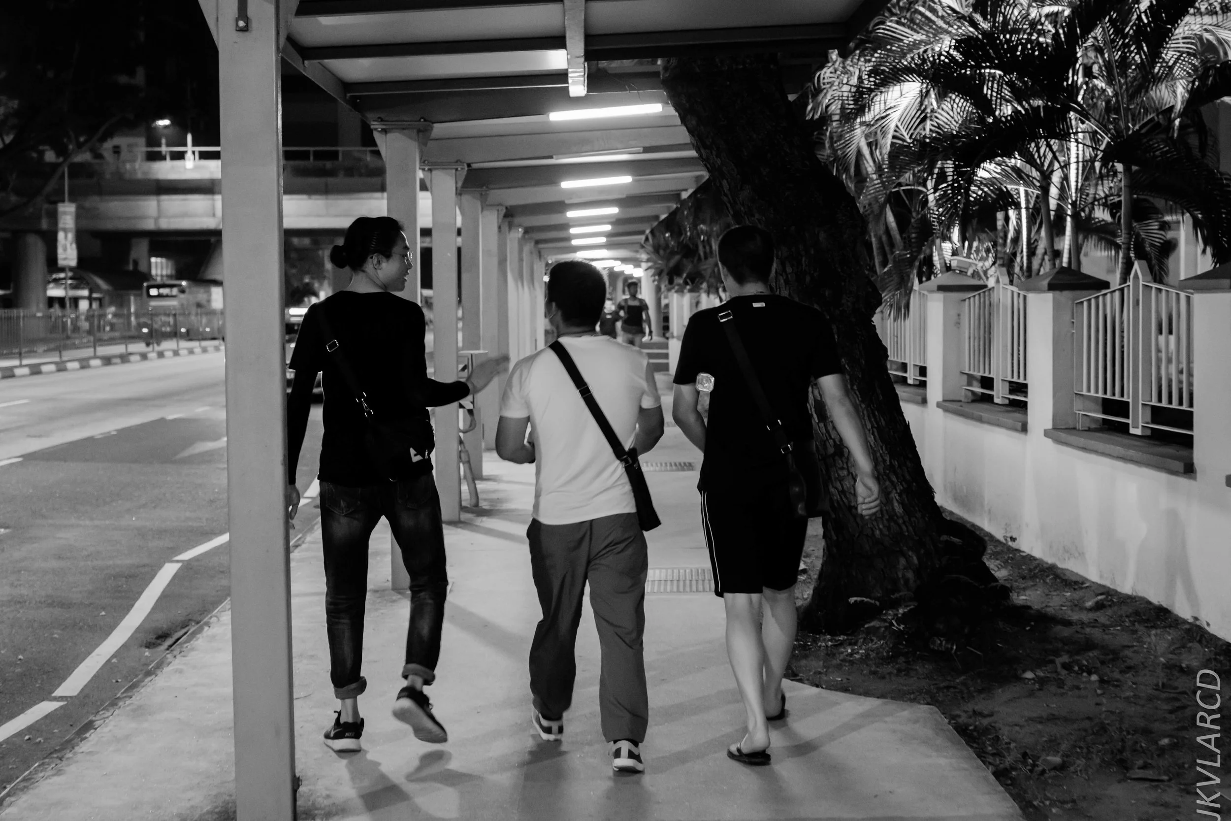 EOS 7D Mark II_2019_08_03_5988.jpg