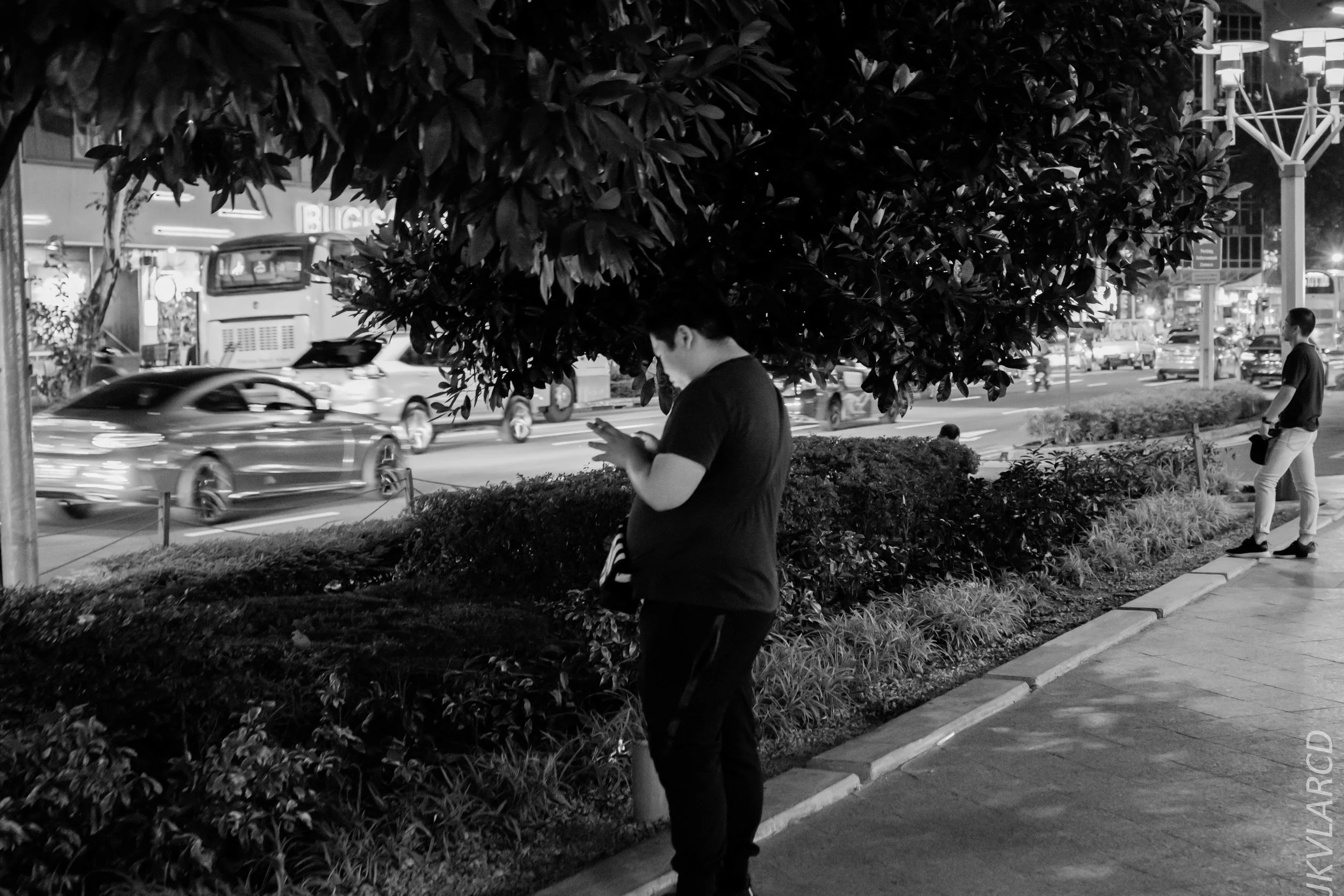 EOS 7D Mark II_2019_08_03_5990.jpg