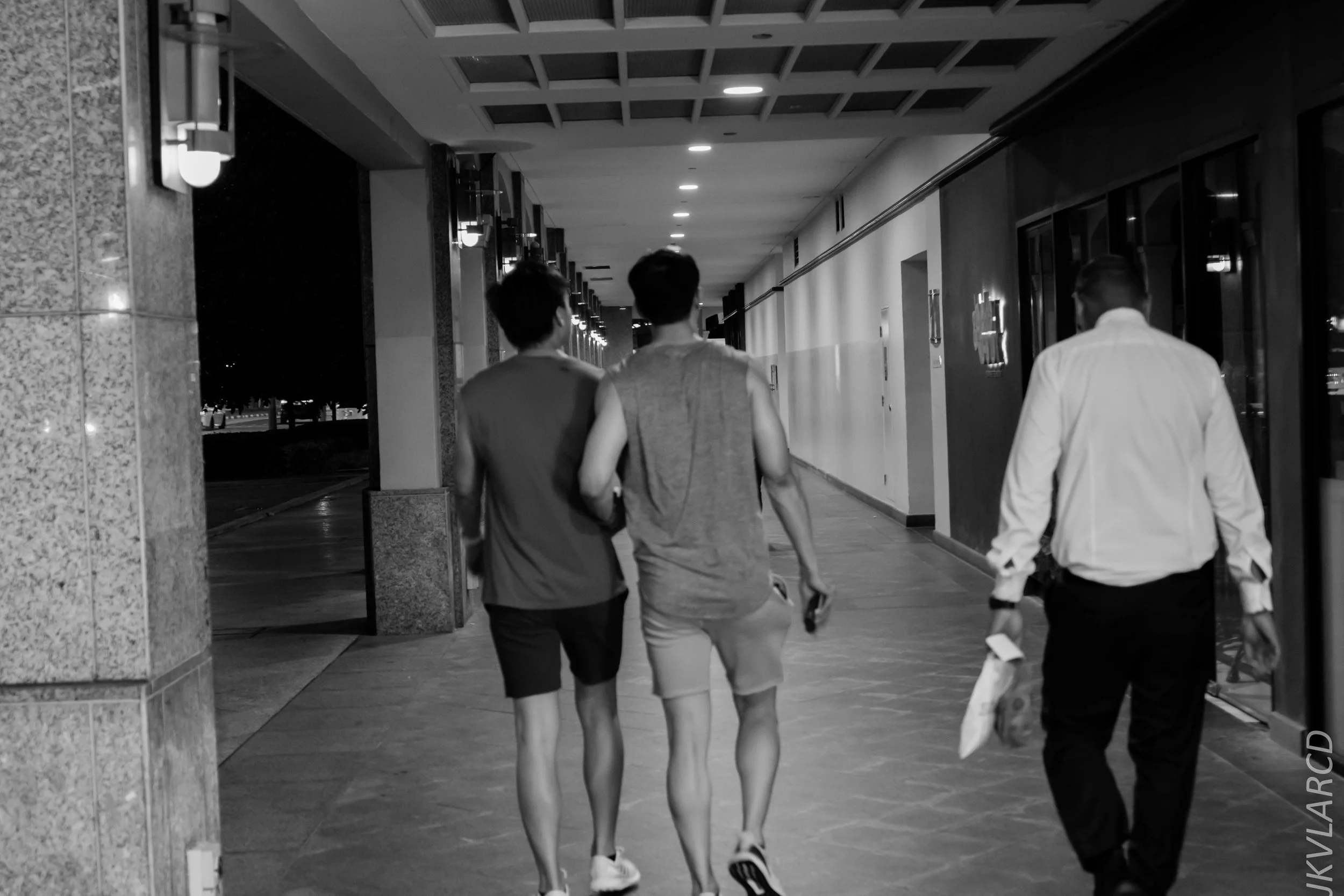 EOS 7D Mark II_2019_08_03_5991.jpg