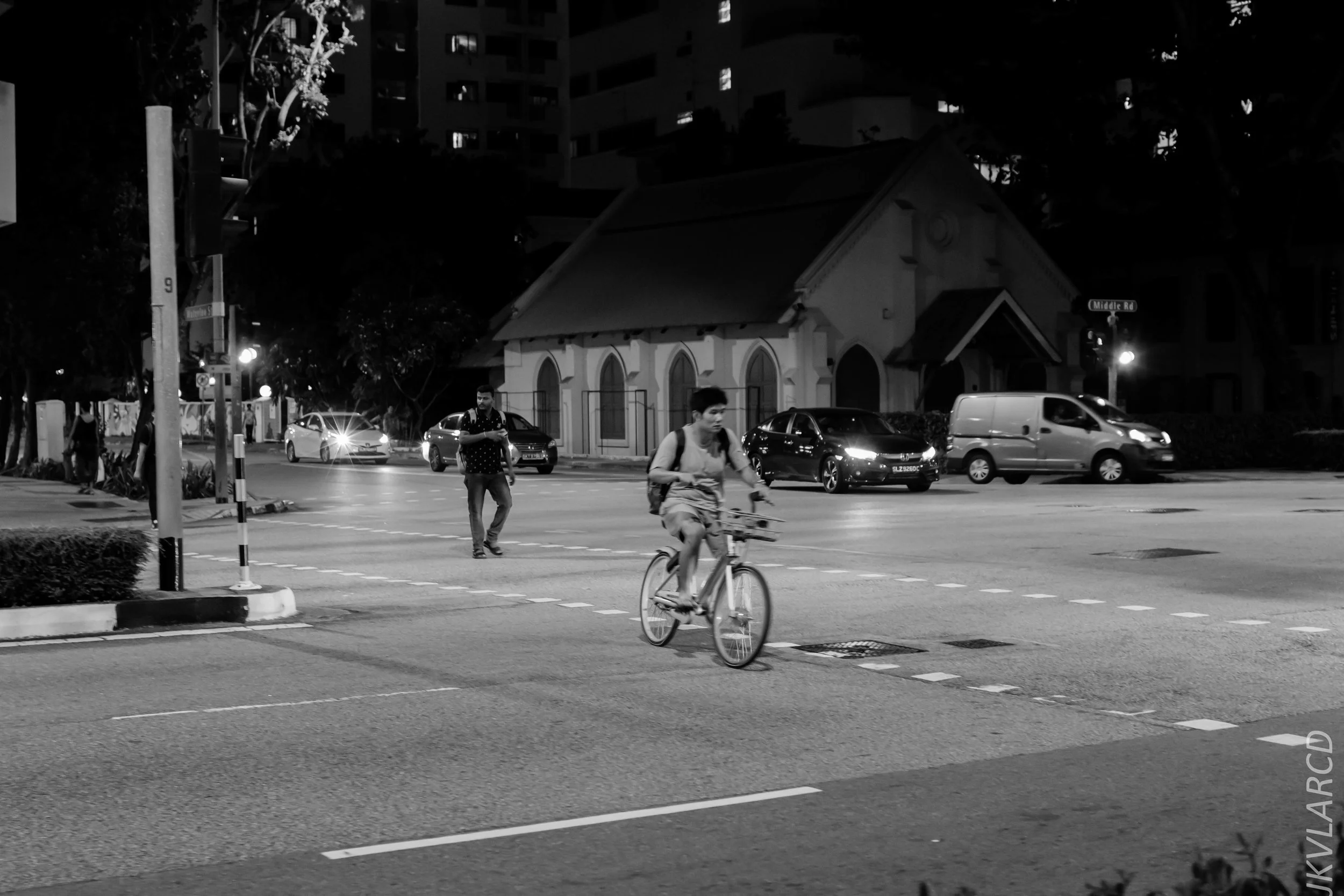 EOS 7D Mark II_2019_08_03_5995.jpg