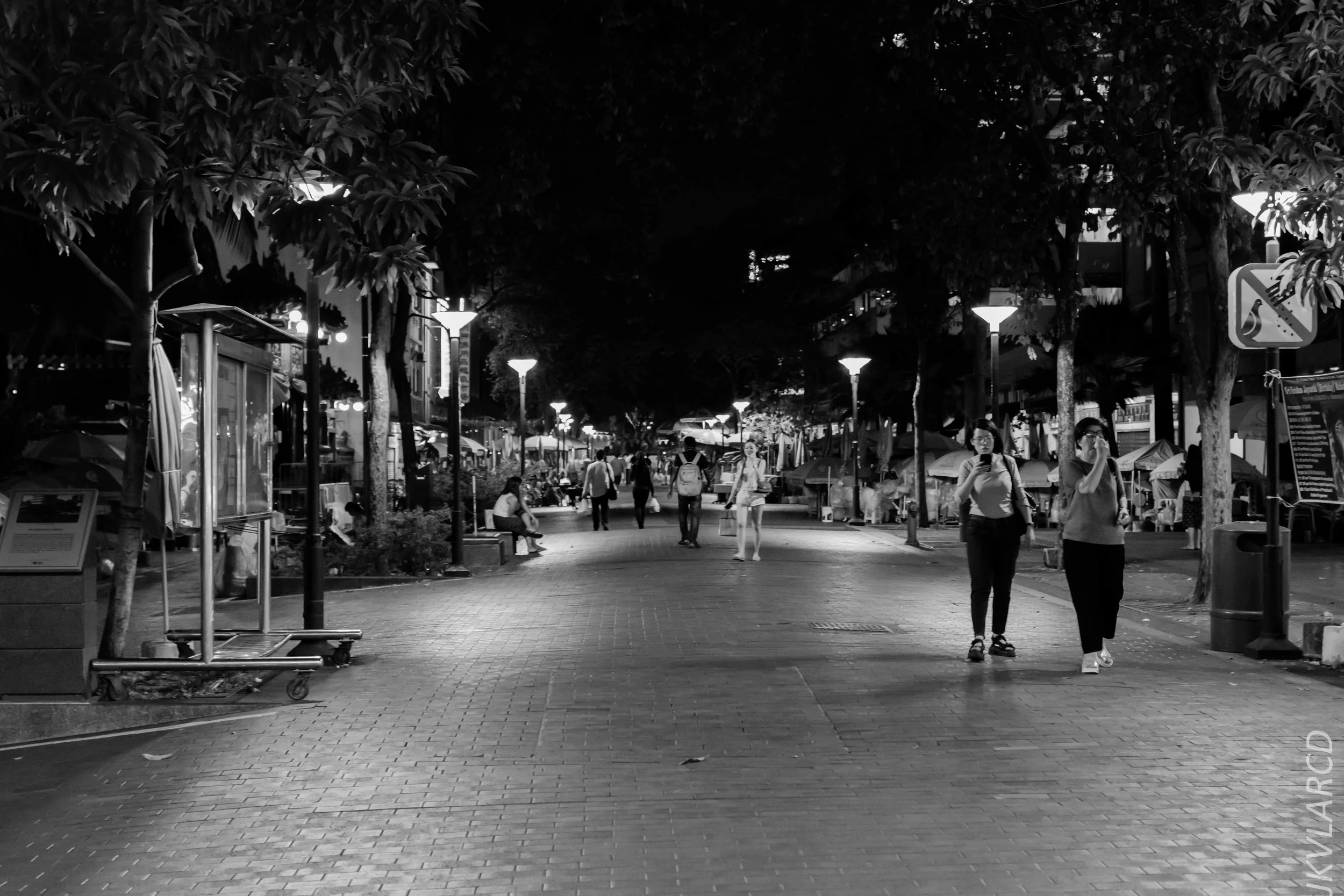 EOS 7D Mark II_2019_08_03_5996.jpg