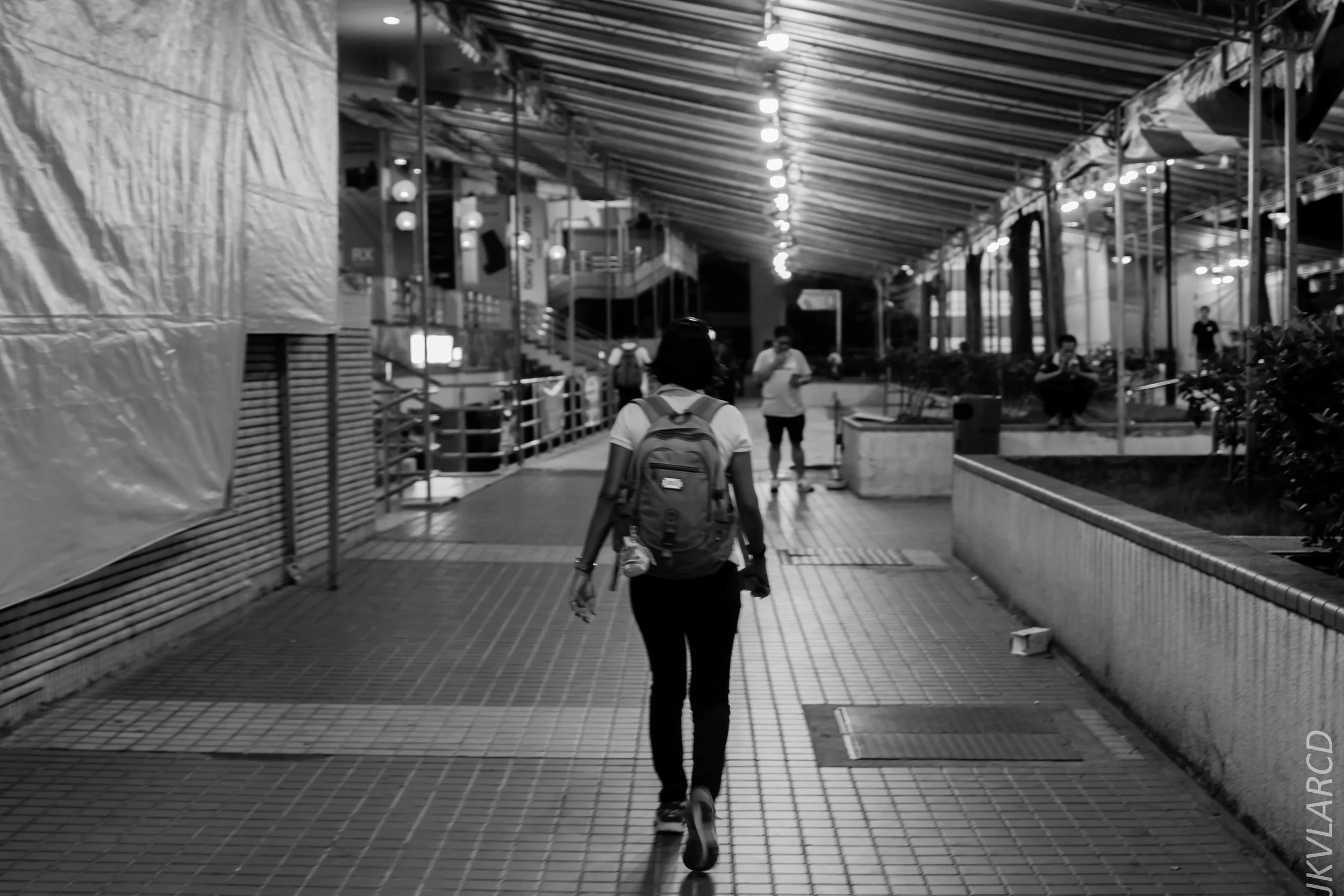 EOS 7D Mark II_2019_08_03_6003.jpg