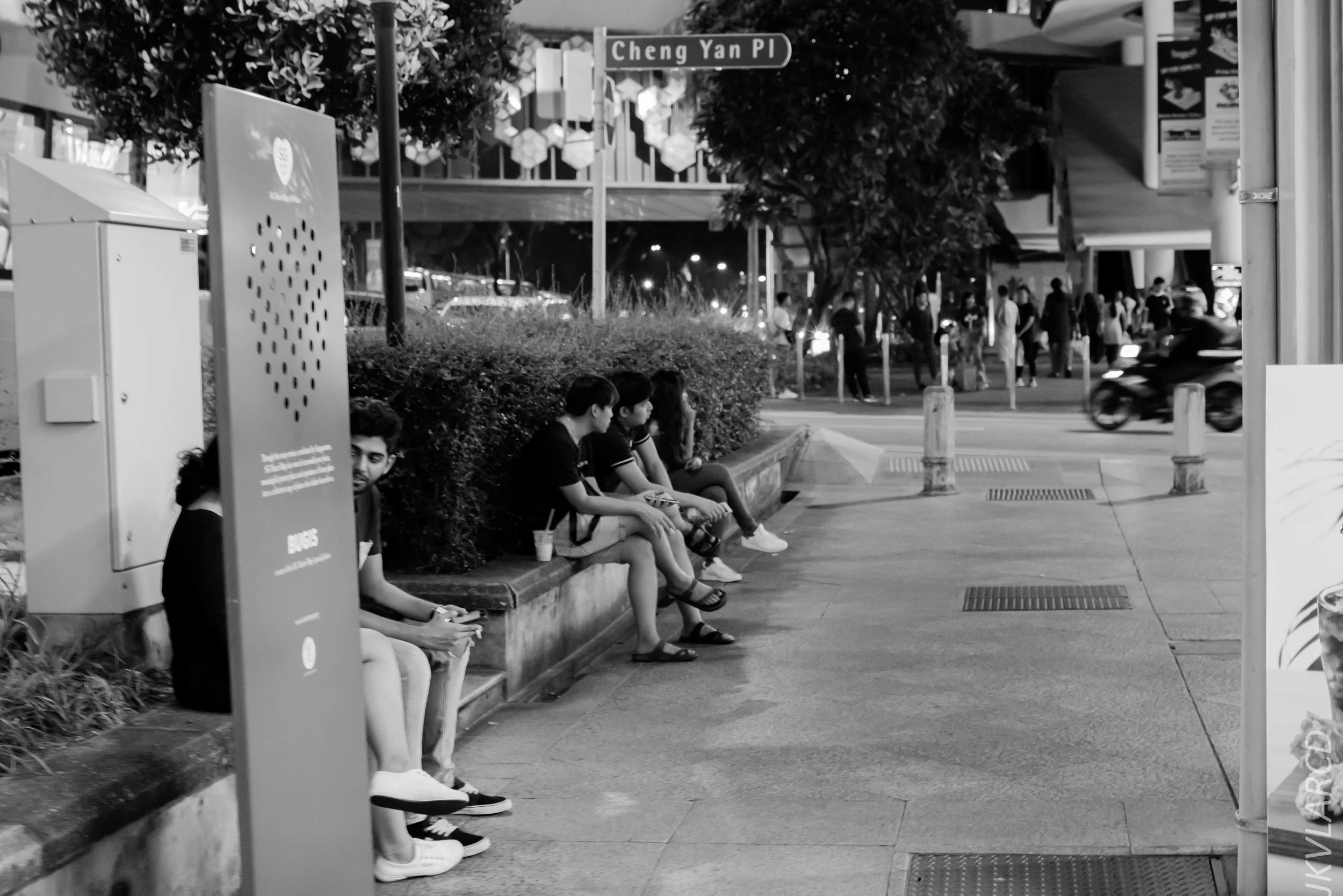 EOS 7D Mark II_2019_08_03_6027.jpg