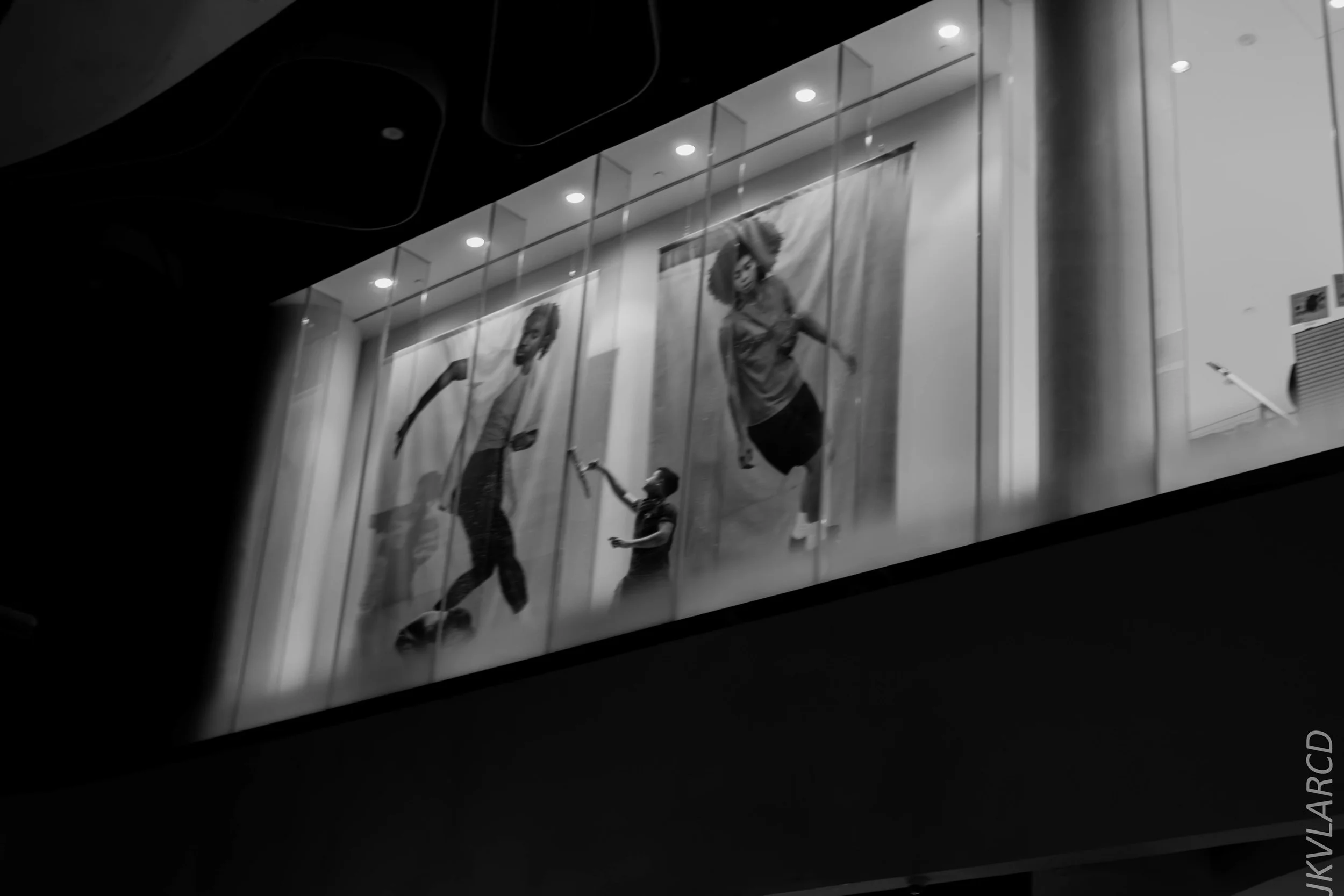 EOS 7D Mark II_2019_08_03_6029.jpg