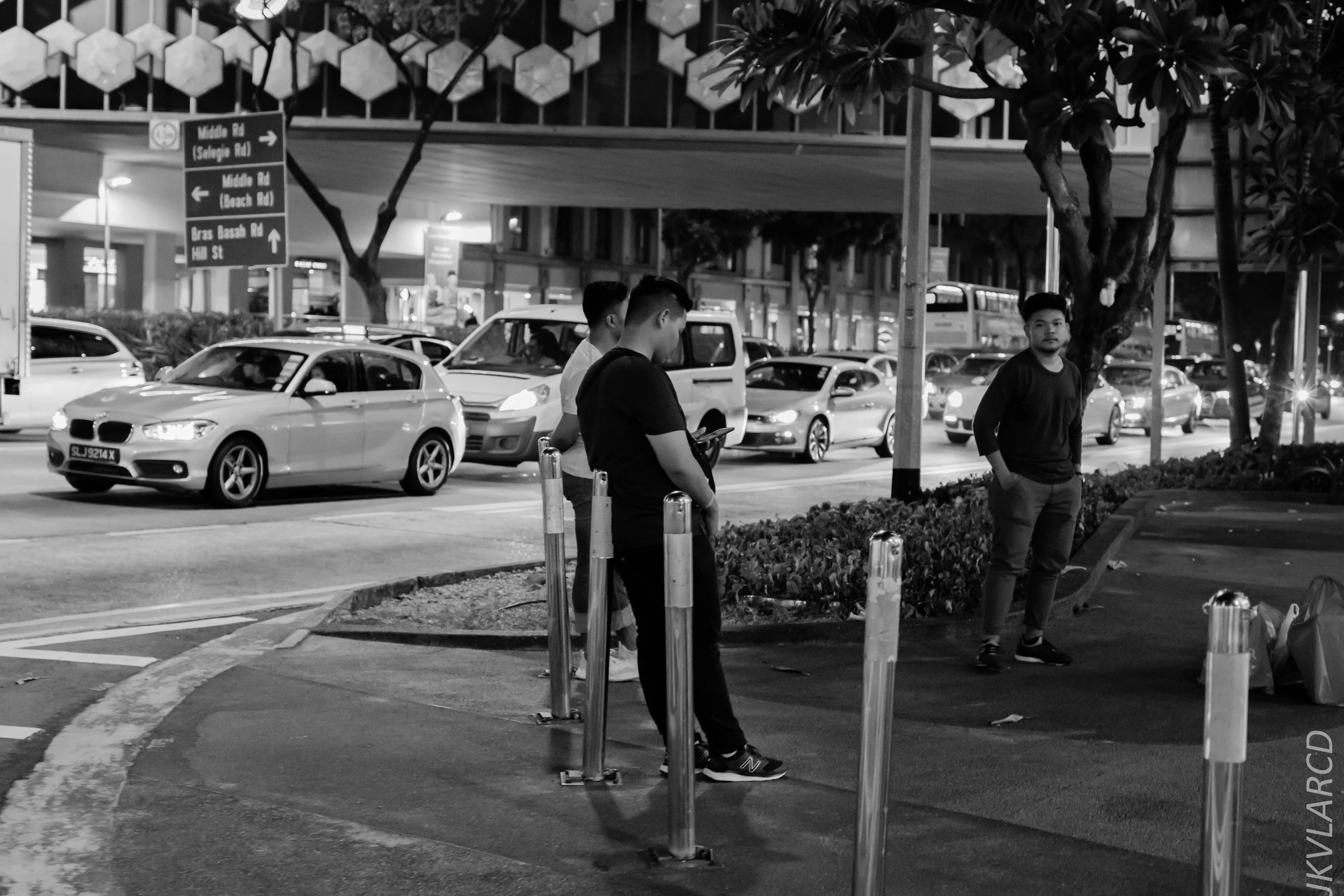 EOS 7D Mark II_2019_08_03_6028.jpg