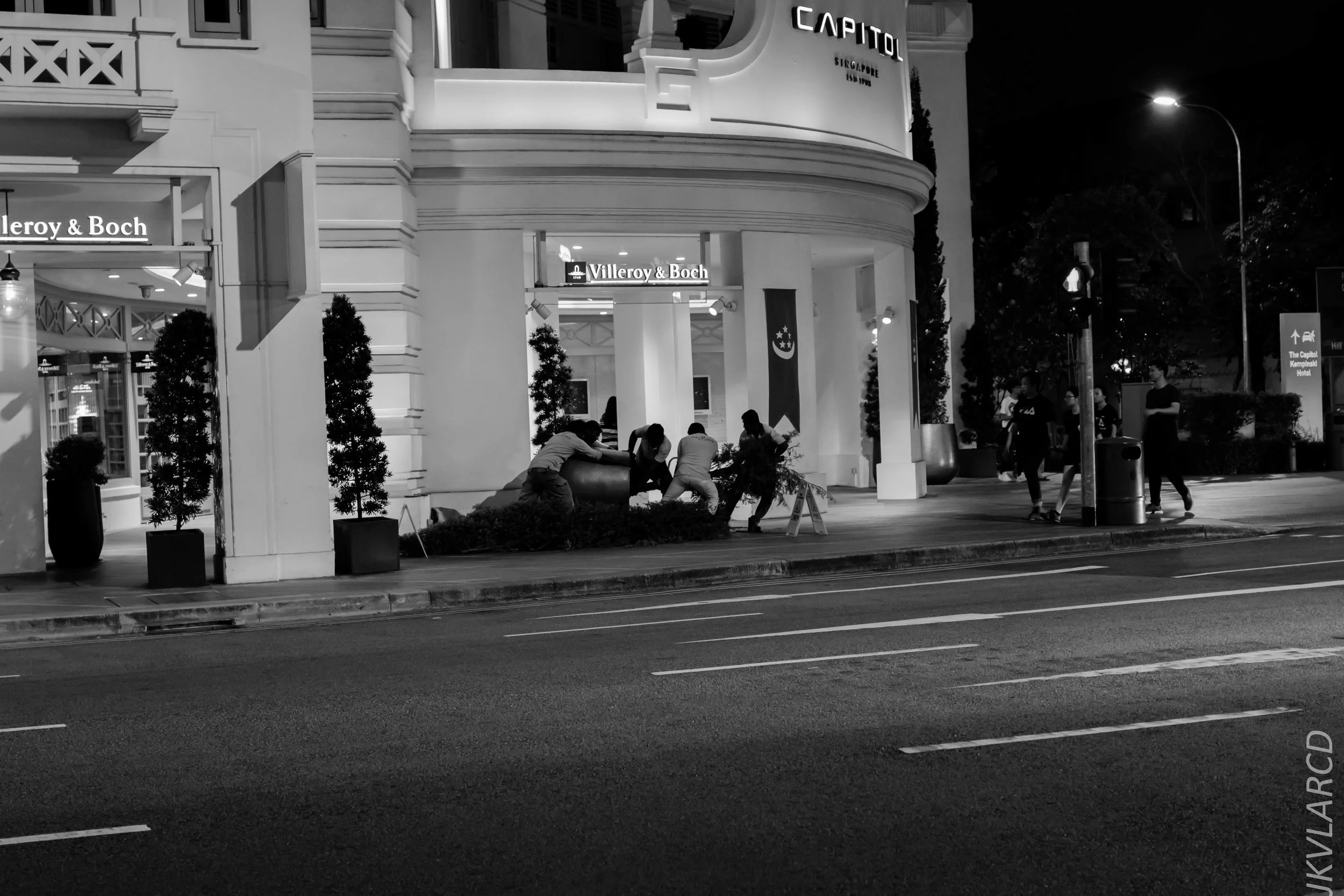 EOS 7D Mark II_2019_08_08_6194.jpg