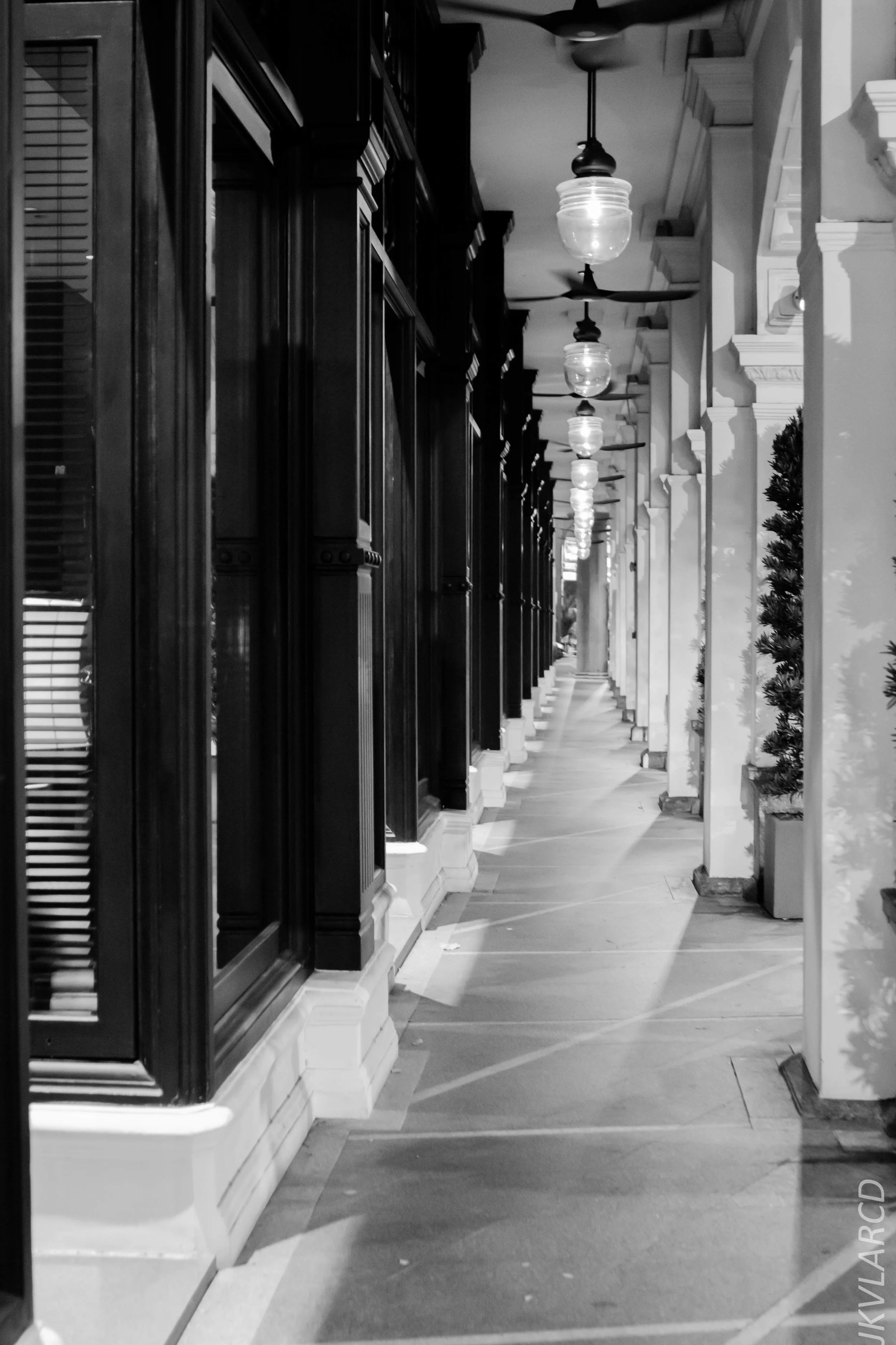 EOS 7D Mark II_2019_08_08_6196.jpg