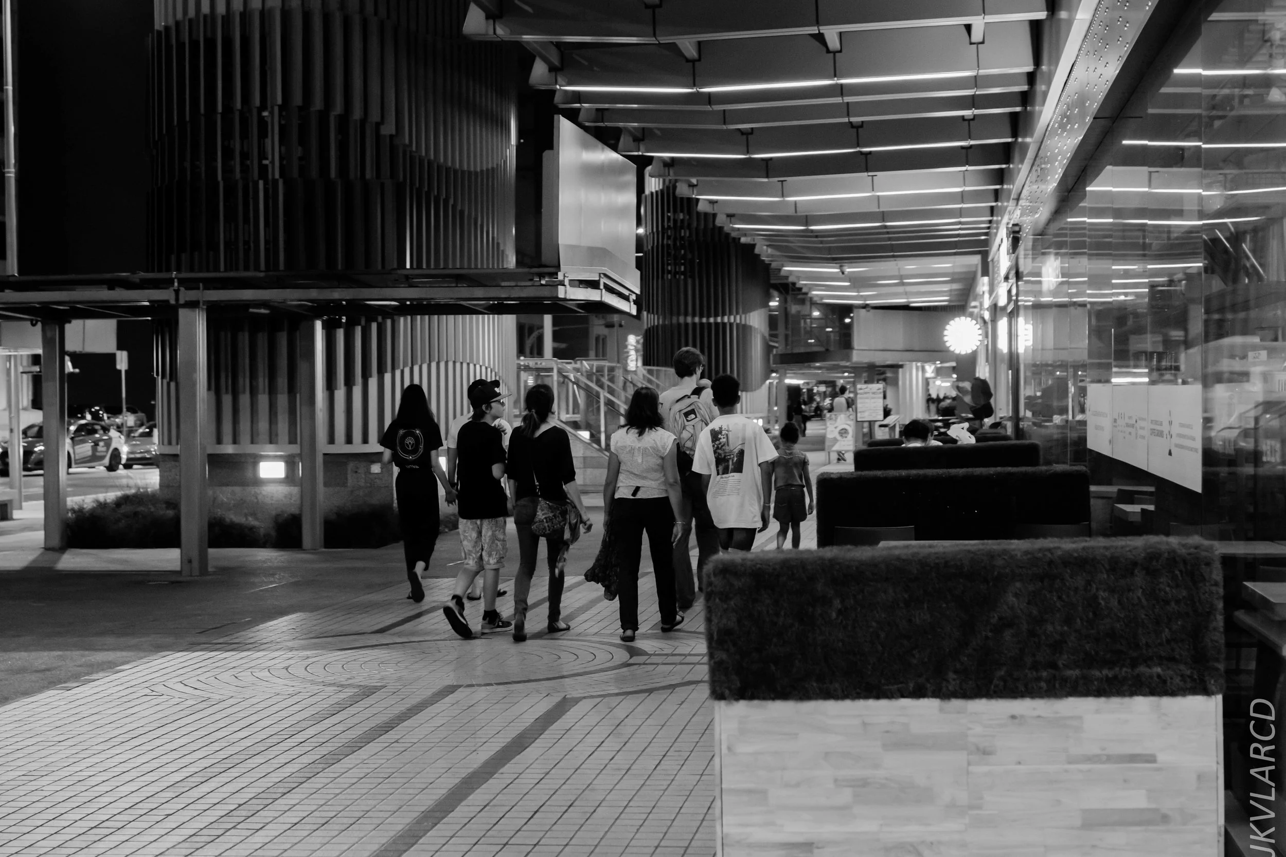 EOS 7D Mark II_2019_08_08_6204.jpg