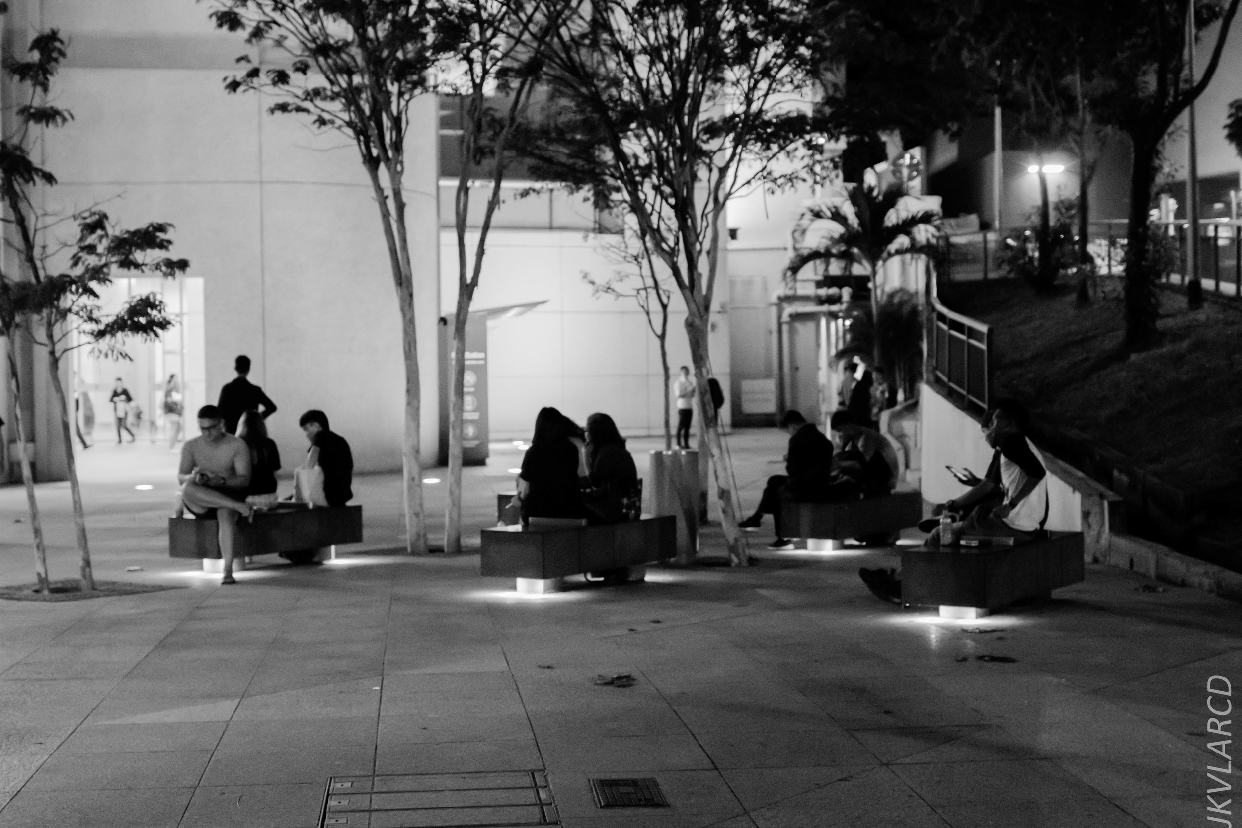 EOS 7D Mark II_2019_08_08_6210.jpg