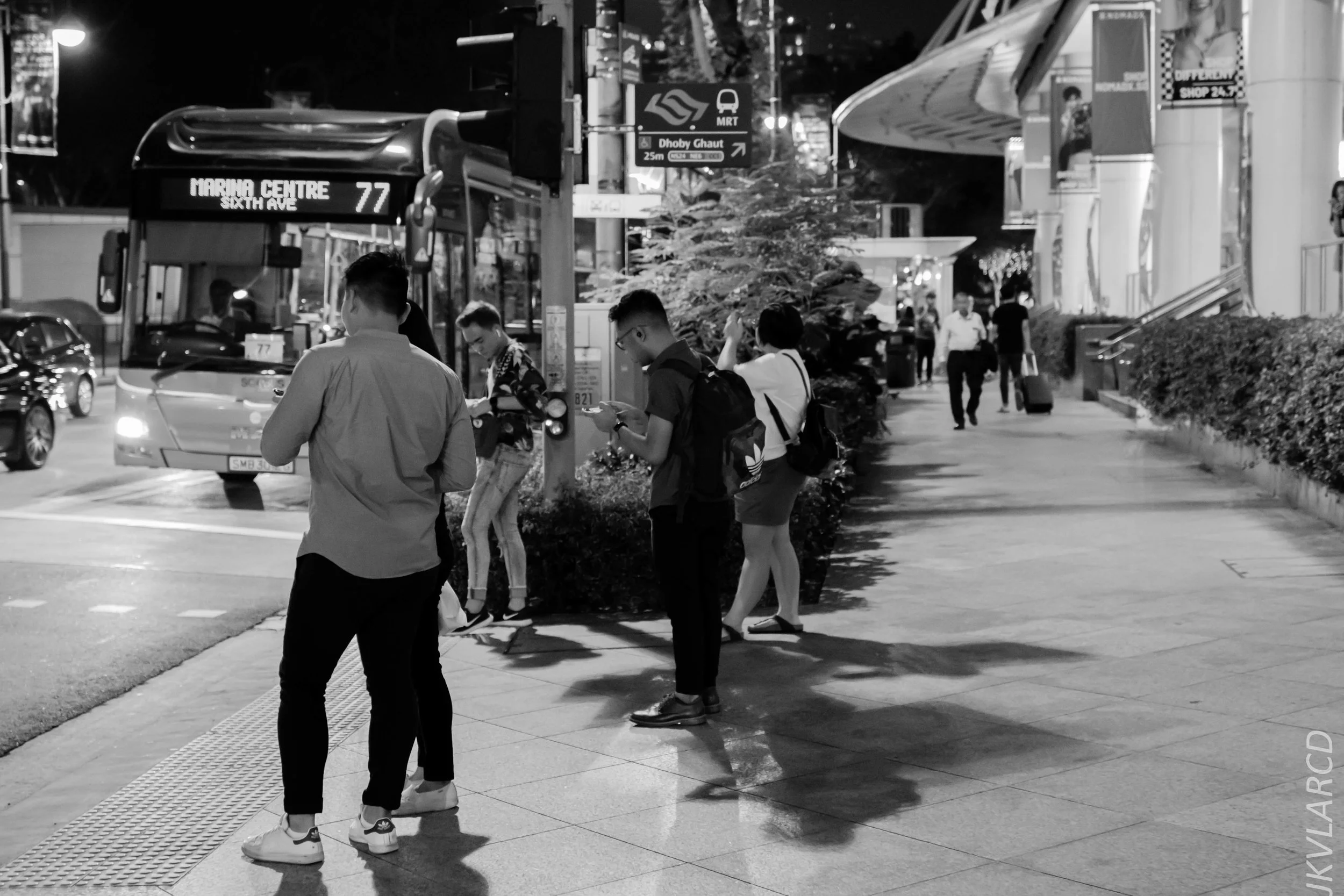 EOS 7D Mark II_2019_08_08_6212.jpg