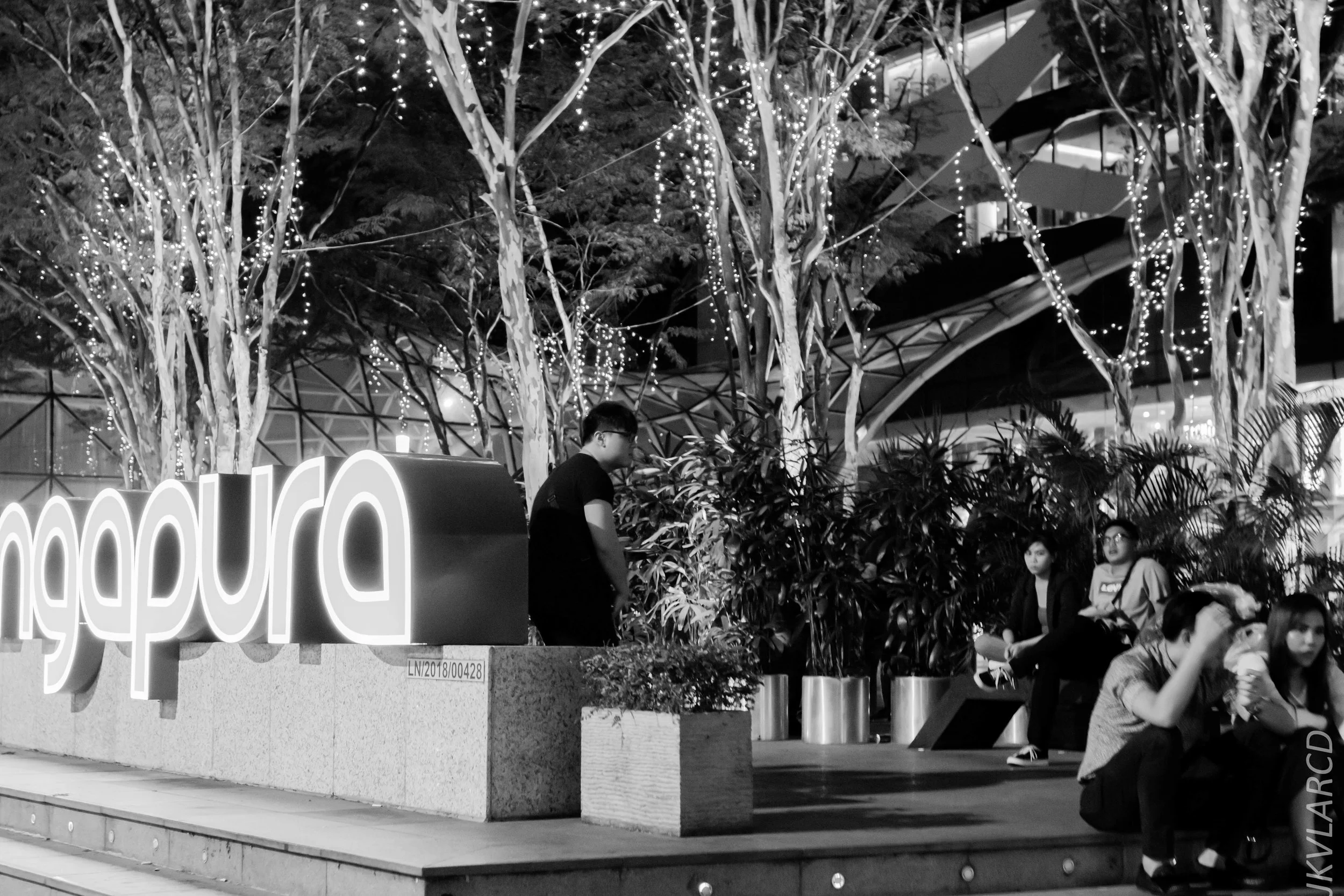 EOS 7D Mark II_2019_08_08_6214.jpg