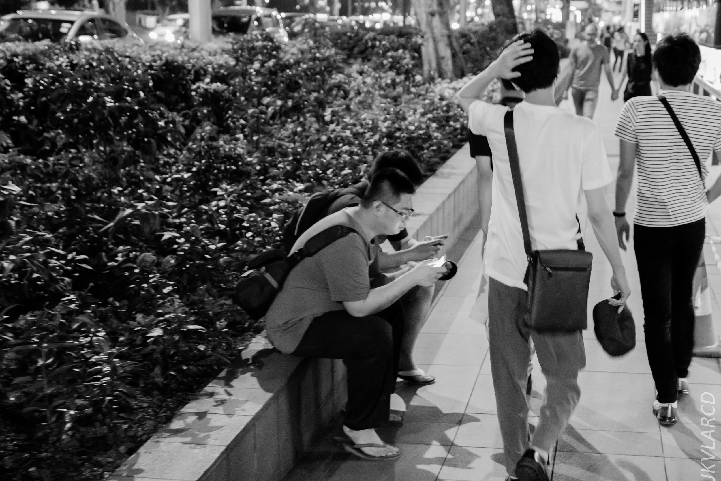 EOS 7D Mark II_2019_08_08_6221.jpg