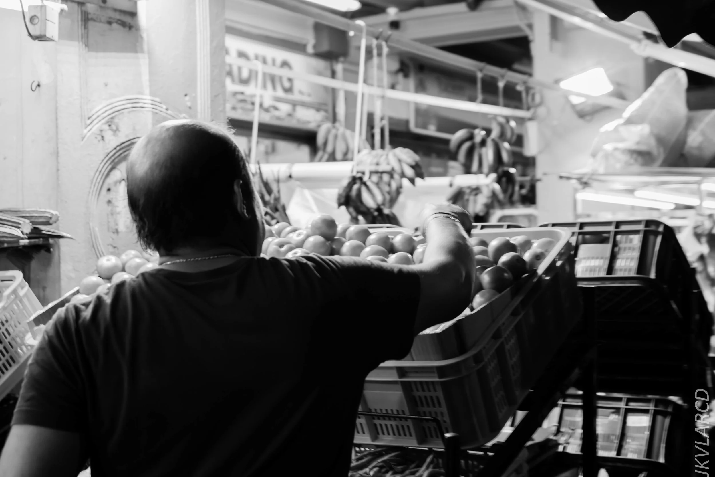 EOS 7D Mark II_2019_08_10_6226.jpg