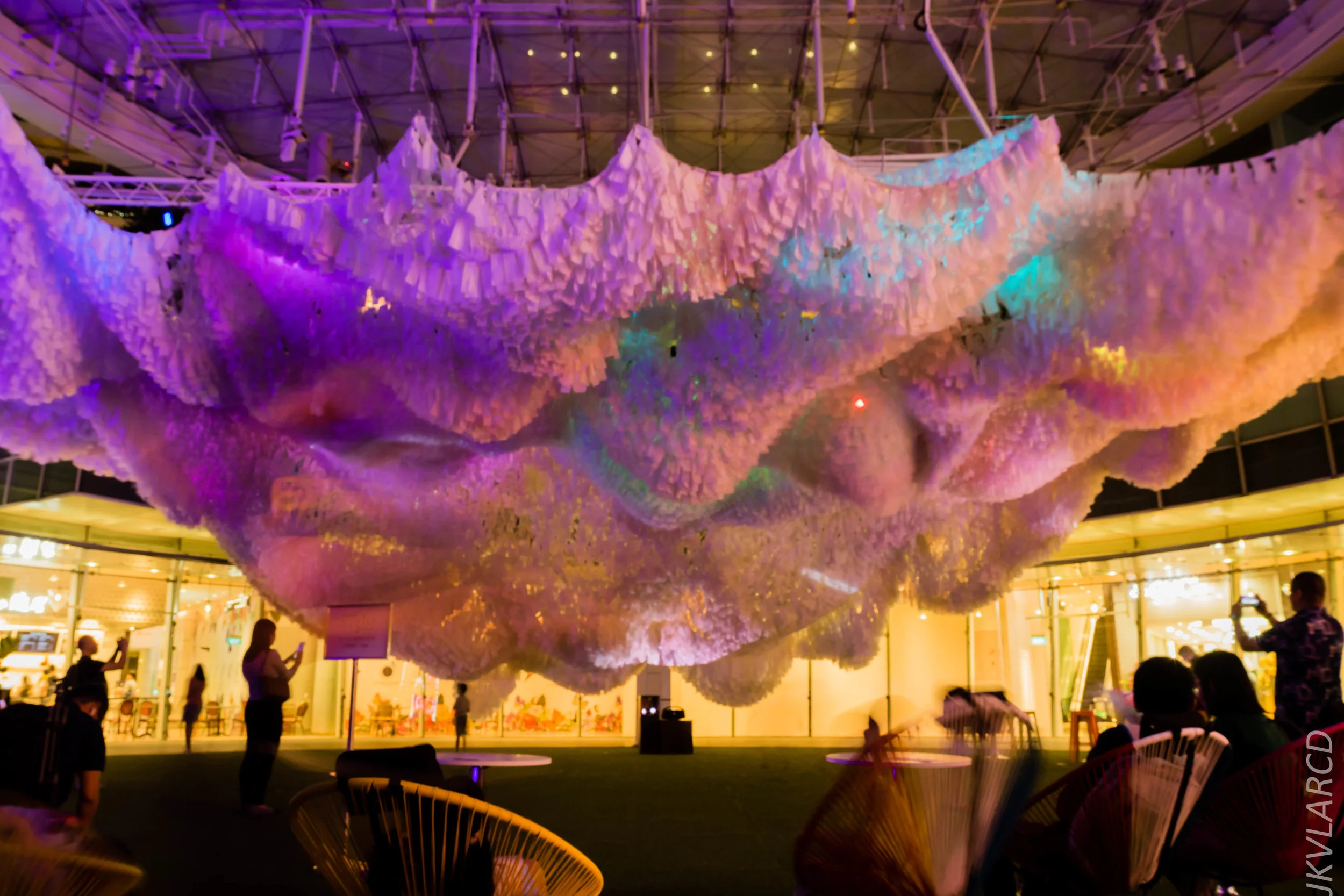 EOS 7D Mark II_2019_08_30_6450.jpg